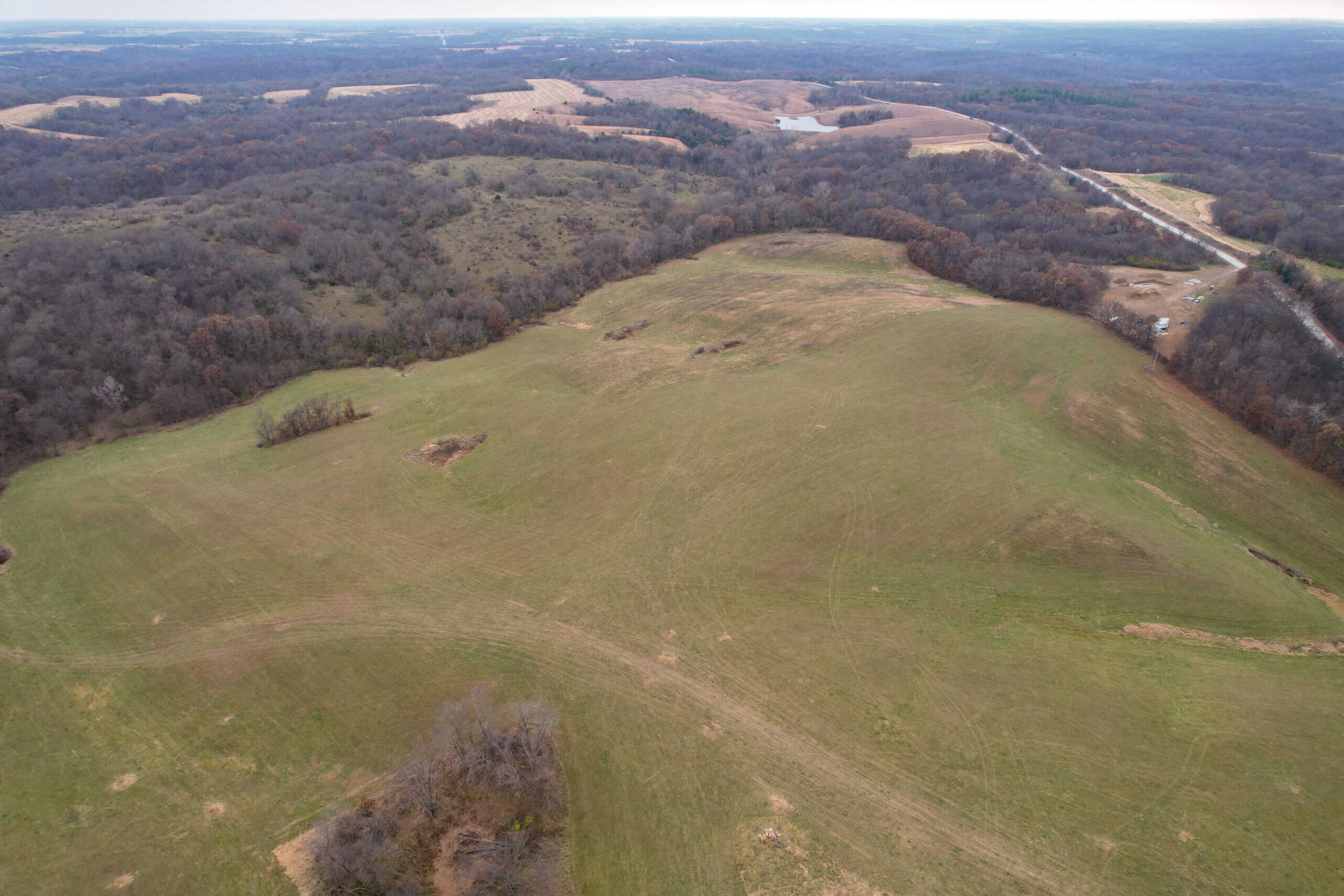 156± Acres | Premier Whitetail & Pasture Unit | North of Georgetown & West of Hiteman