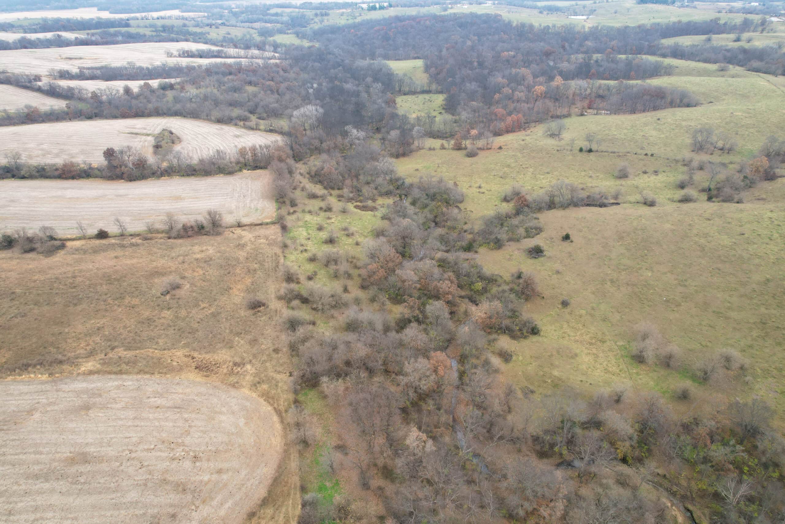 115± Acres in Premier Monroe County, Iowa Whitetail Neighborhood