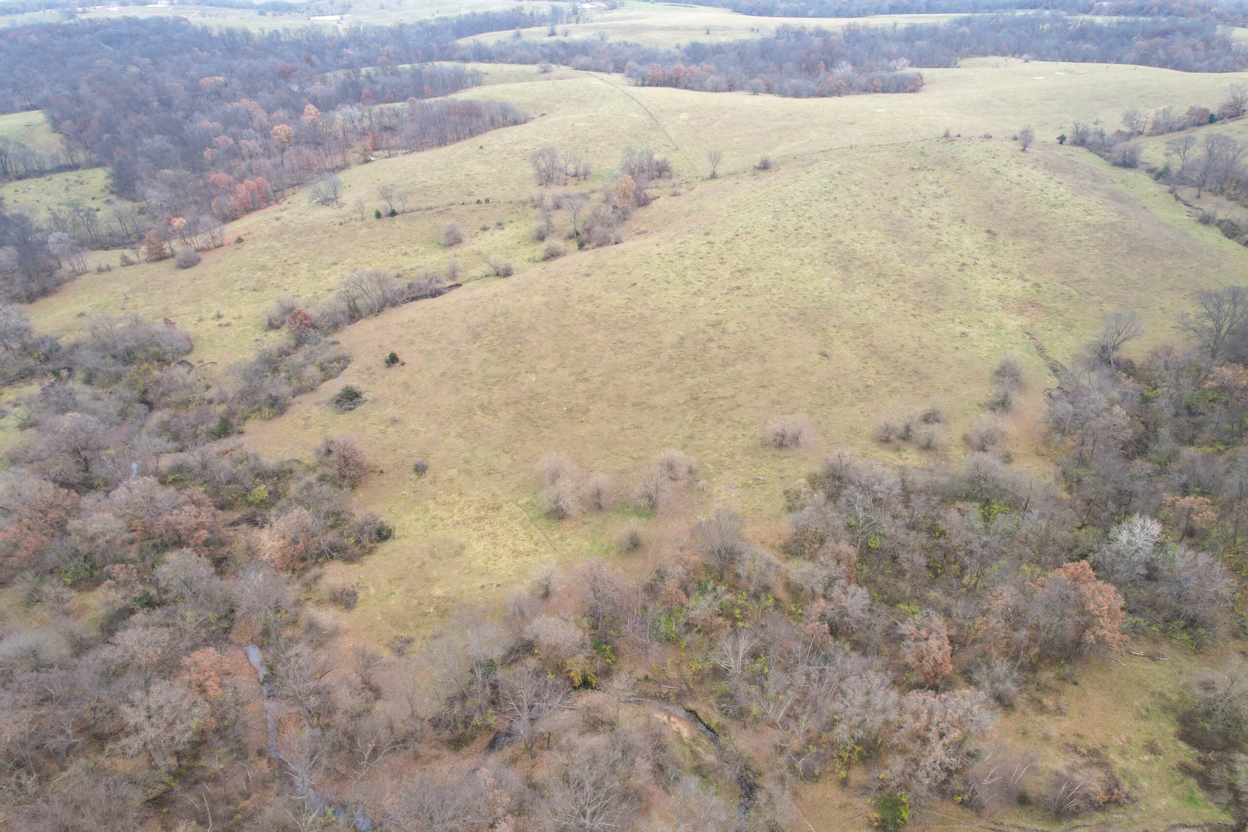 115± Acres in Premier Monroe County, Iowa Whitetail Neighborhood