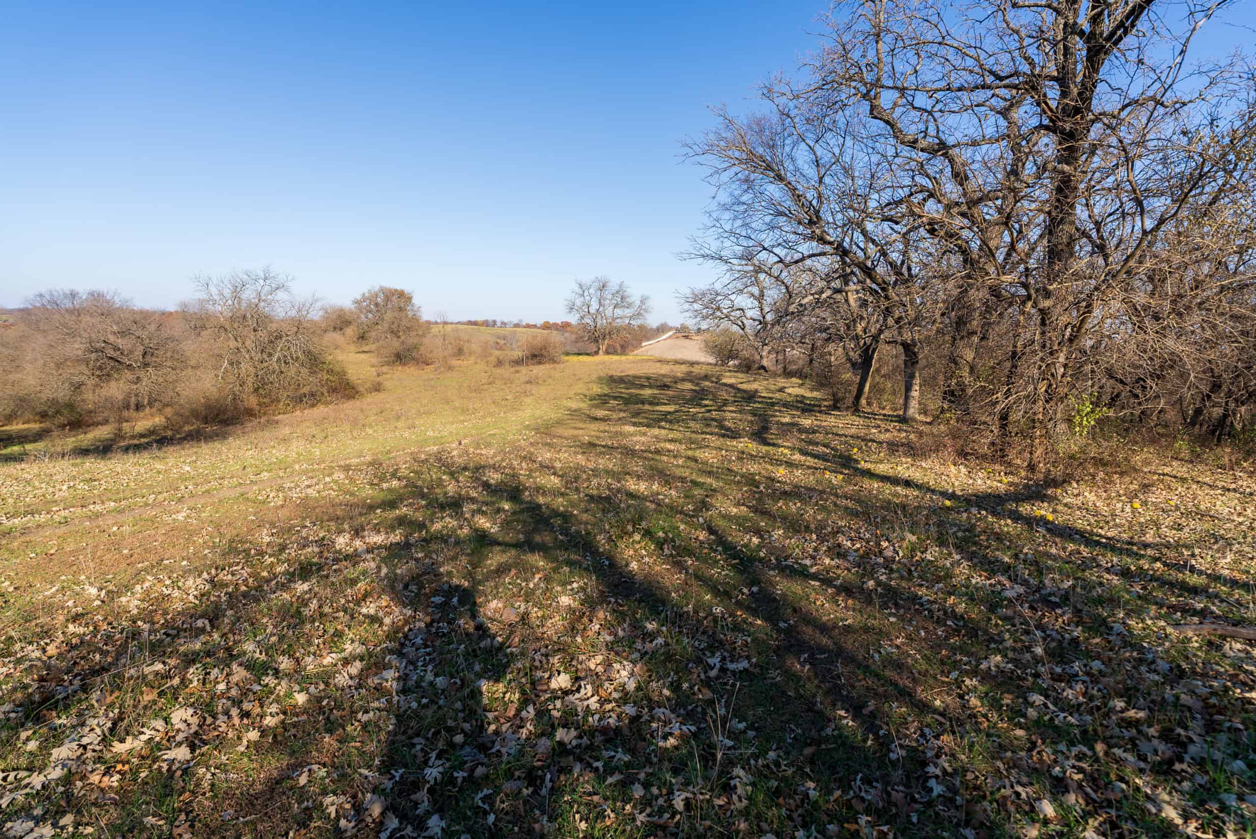 115± Acres in Premier Monroe County, Iowa Whitetail Neighborhood