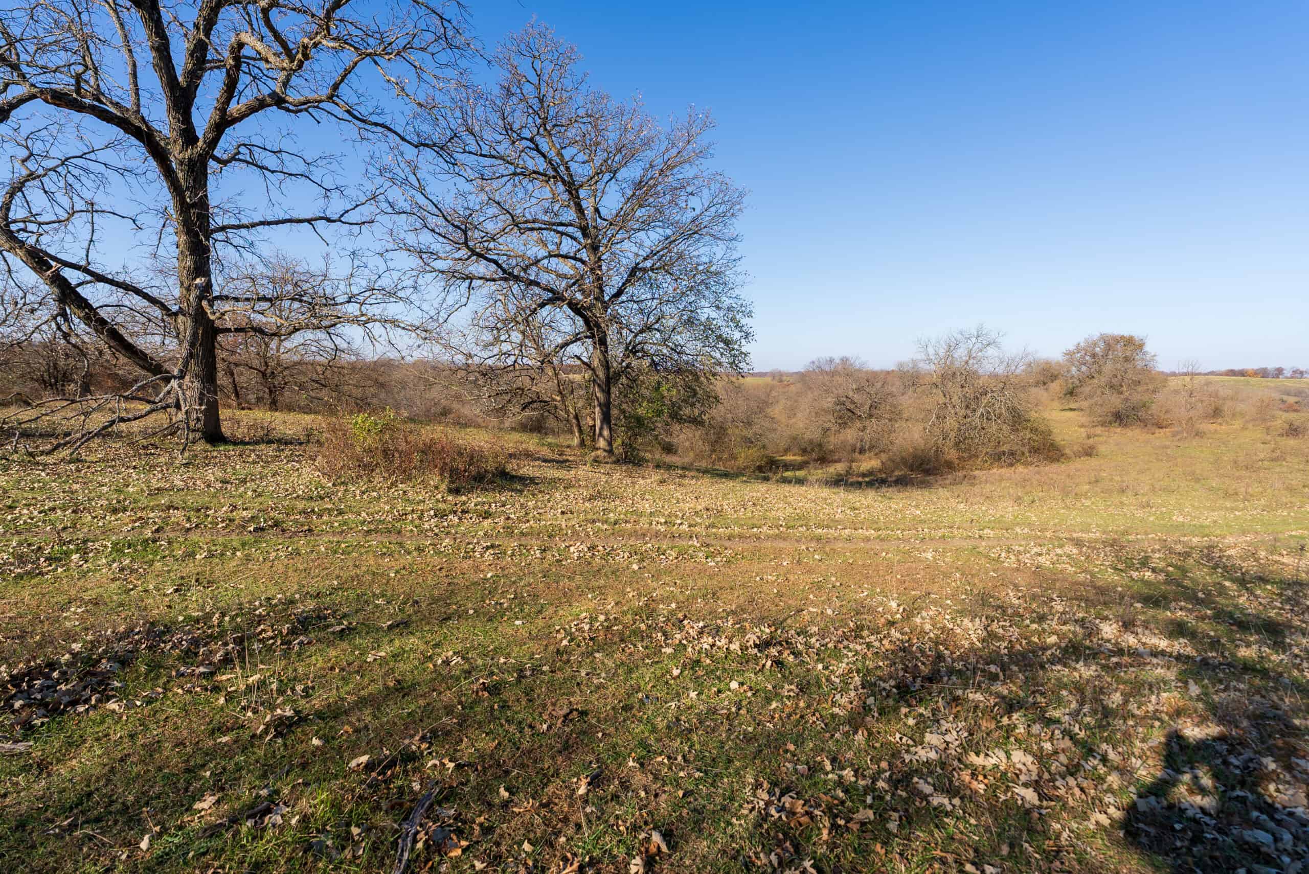 115± Acres in Premier Monroe County, Iowa Whitetail Neighborhood
