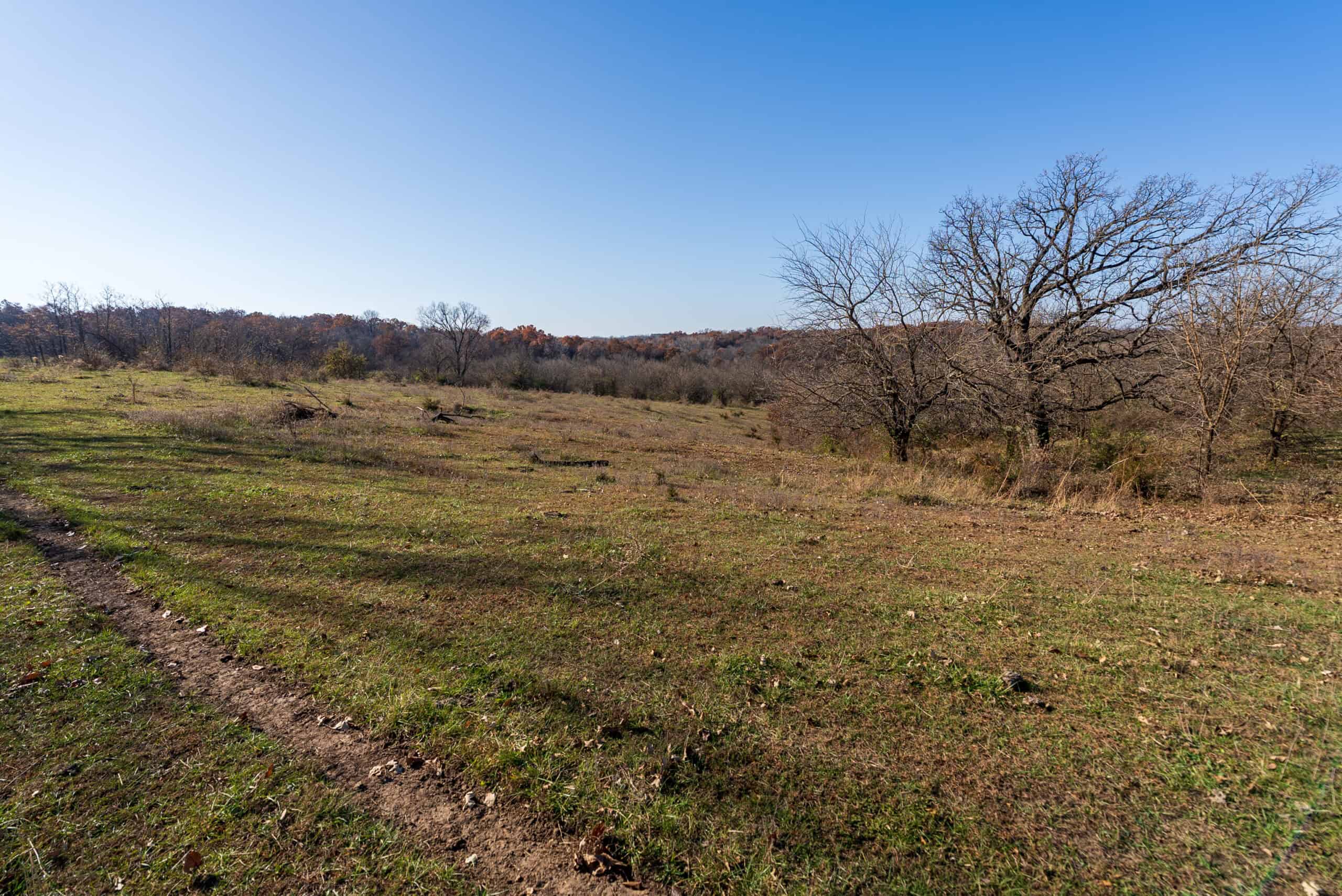 115± Acres in Premier Monroe County, Iowa Whitetail Neighborhood