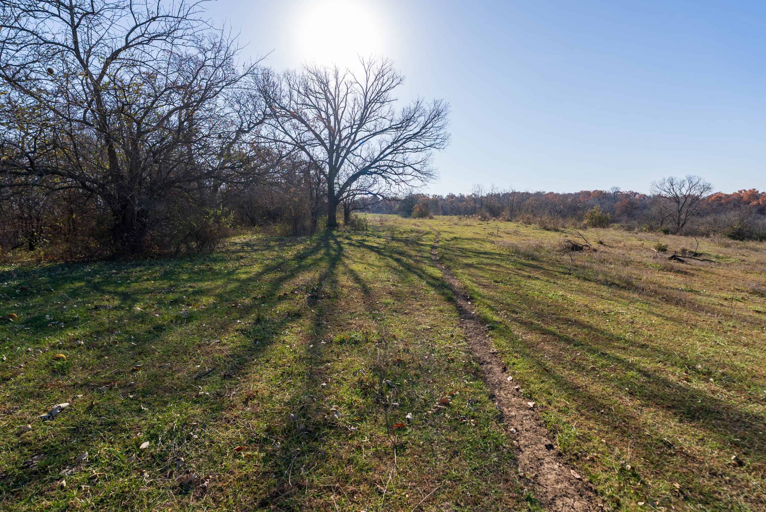 115± Acres in Premier Monroe County, Iowa Whitetail Neighborhood