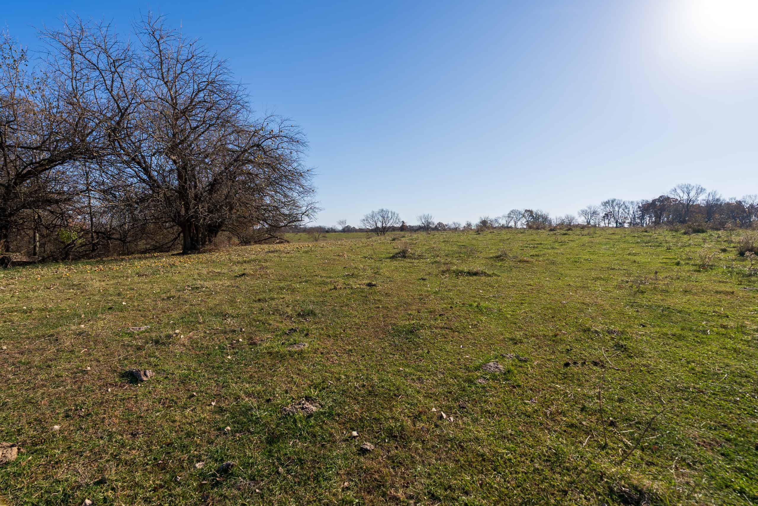 115± Acres in Premier Monroe County, Iowa Whitetail Neighborhood