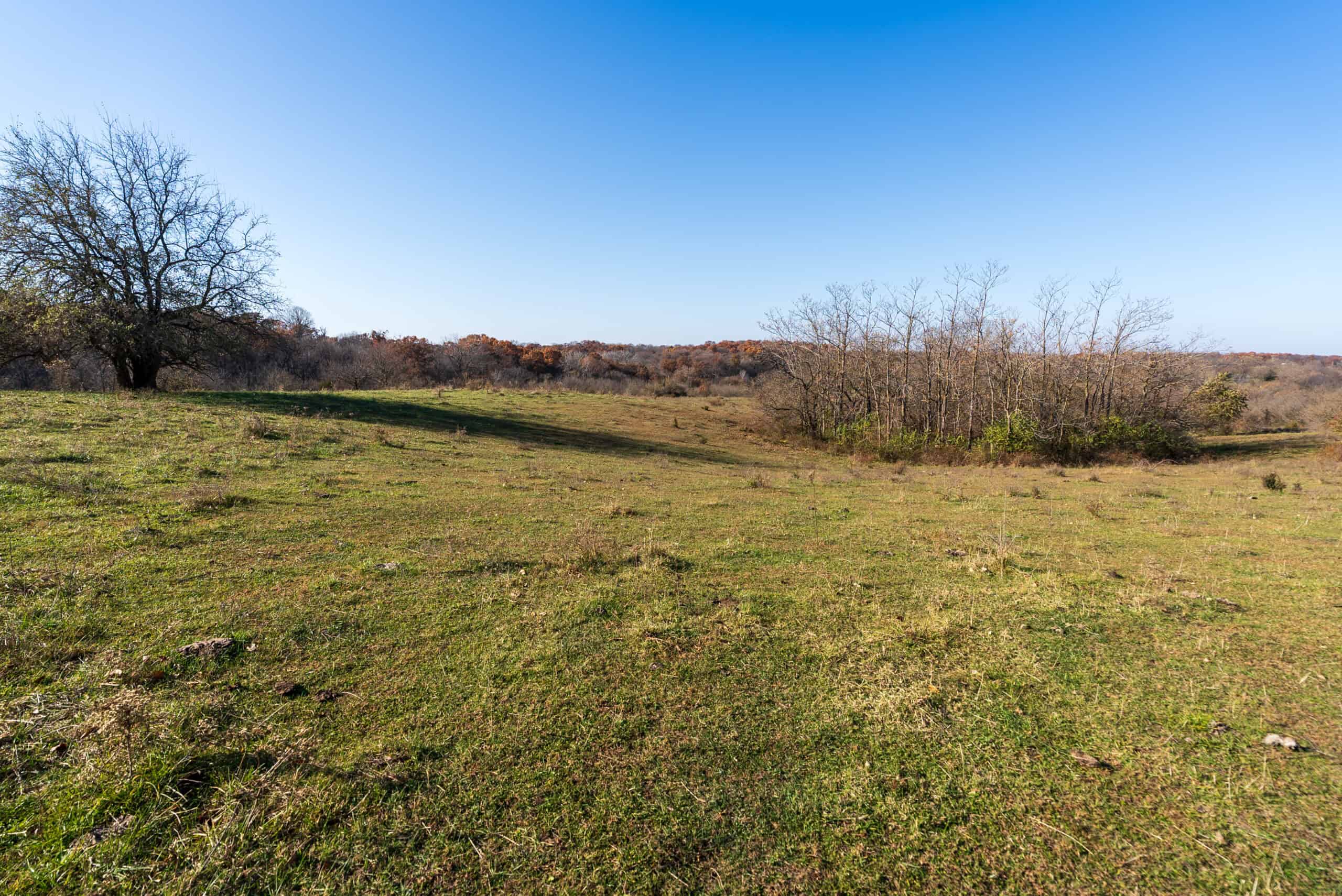 115± Acres in Premier Monroe County, Iowa Whitetail Neighborhood