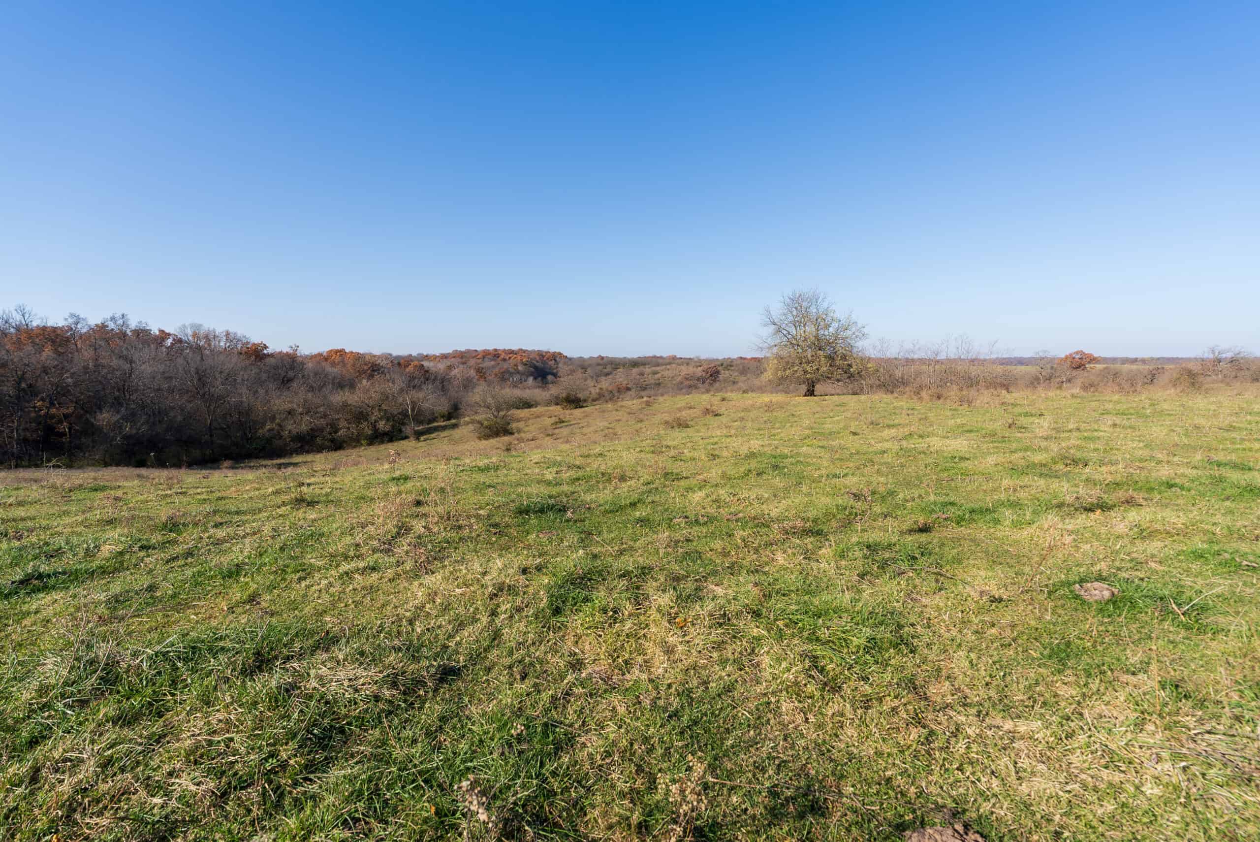 115± Acres in Premier Monroe County, Iowa Whitetail Neighborhood