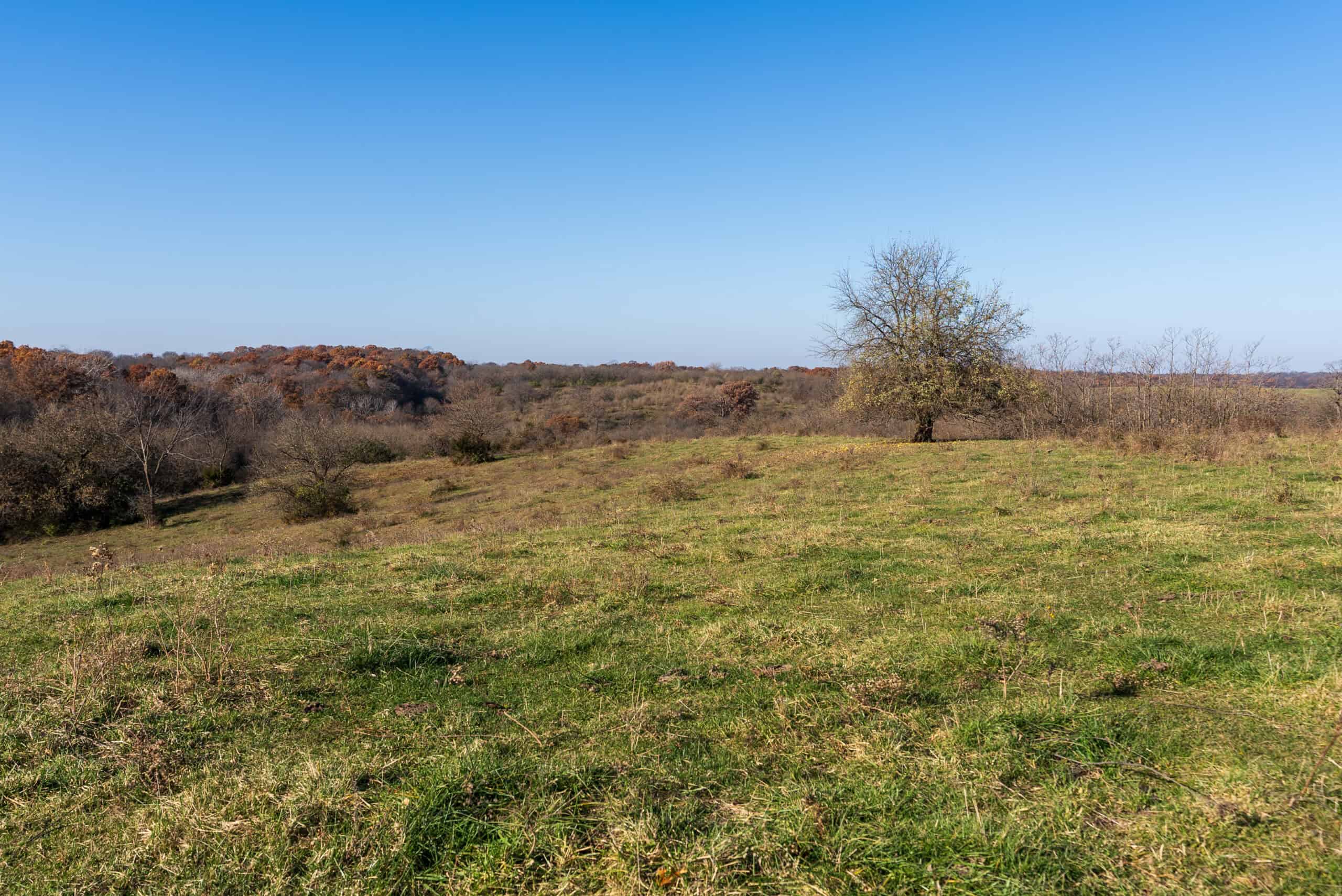 115± Acres in Premier Monroe County, Iowa Whitetail Neighborhood