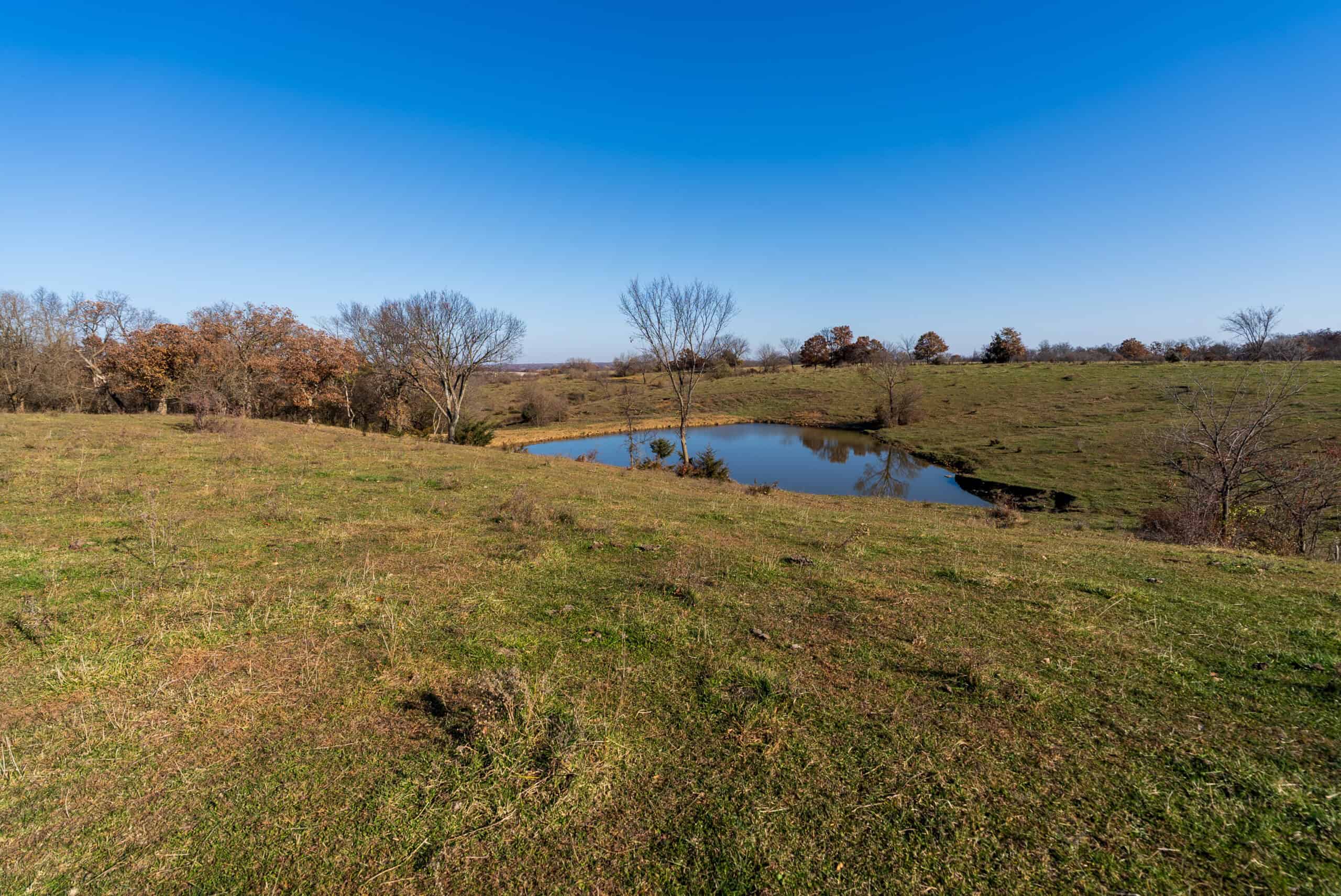 115± Acres in Premier Monroe County, Iowa Whitetail Neighborhood