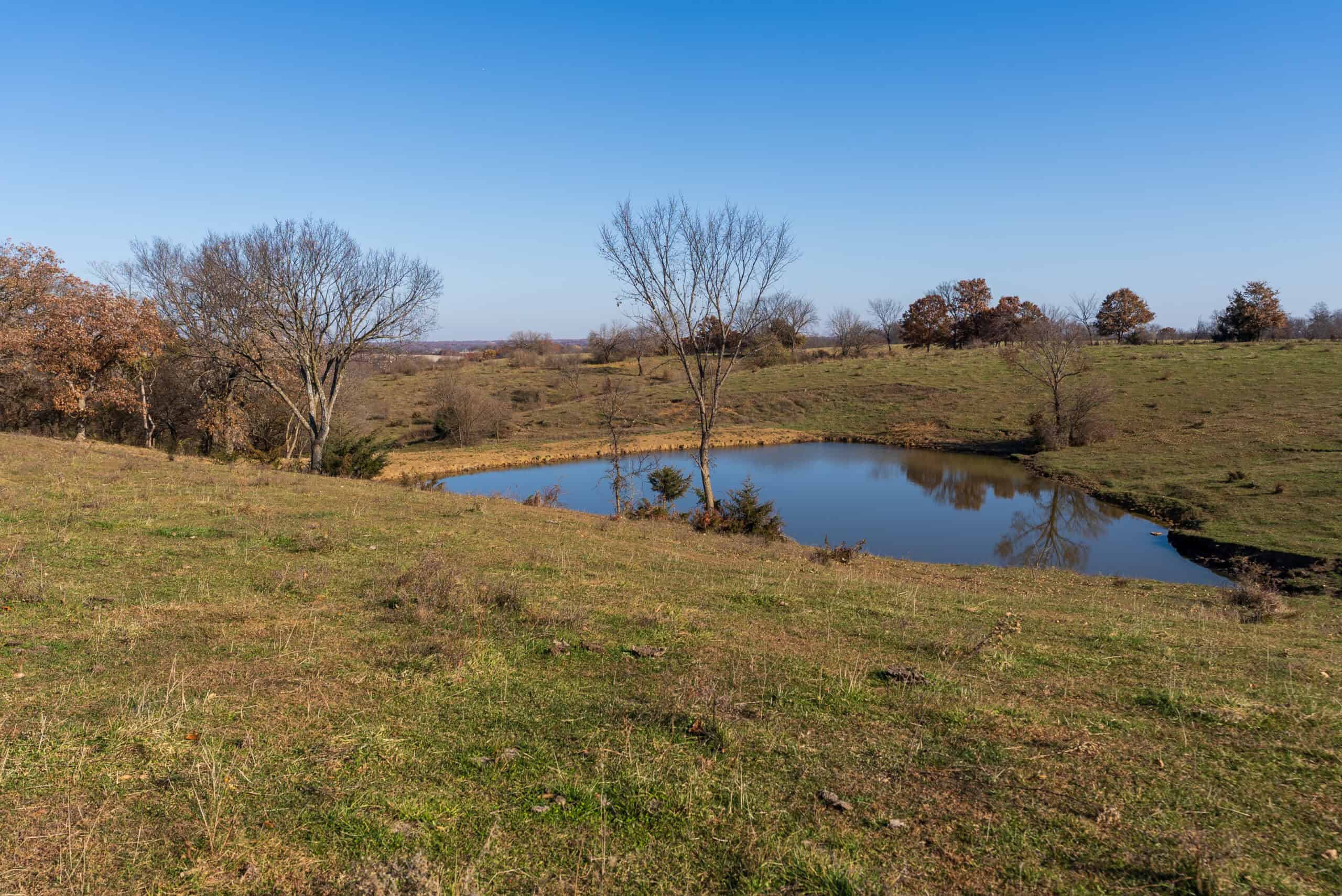 115± Acres in Premier Monroe County, Iowa Whitetail Neighborhood