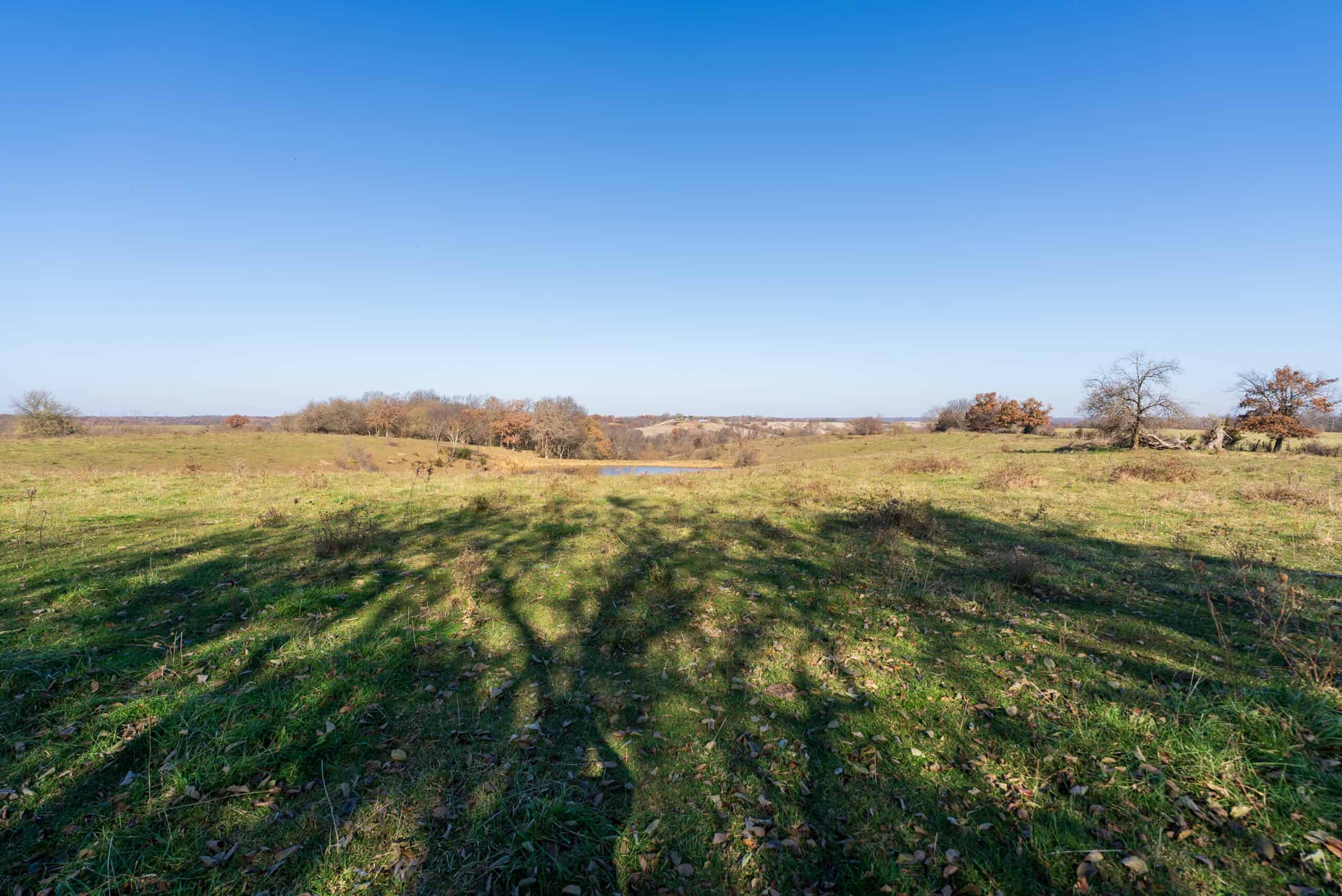 115± Acres in Premier Monroe County, Iowa Whitetail Neighborhood
