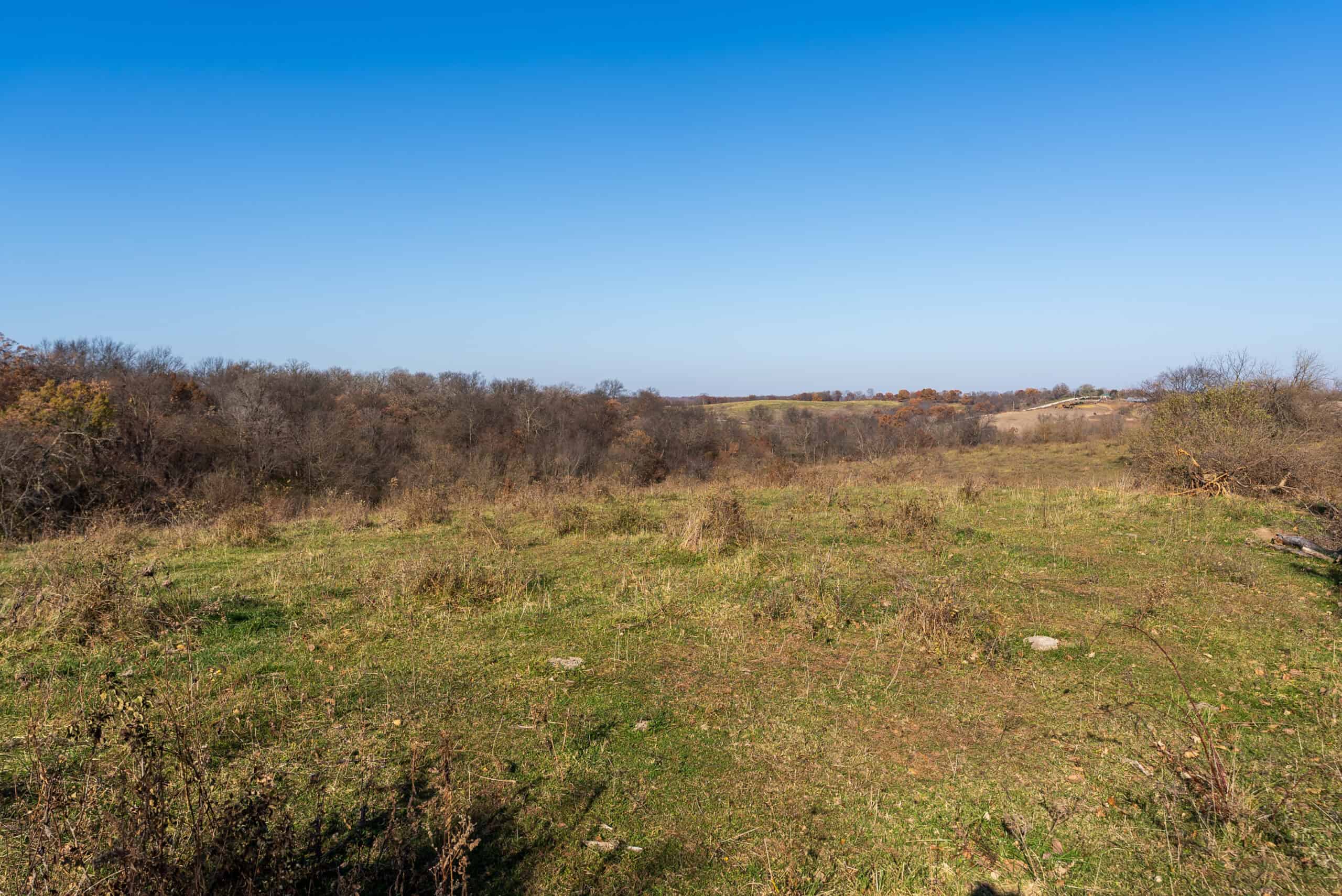 115± Acres in Premier Monroe County, Iowa Whitetail Neighborhood