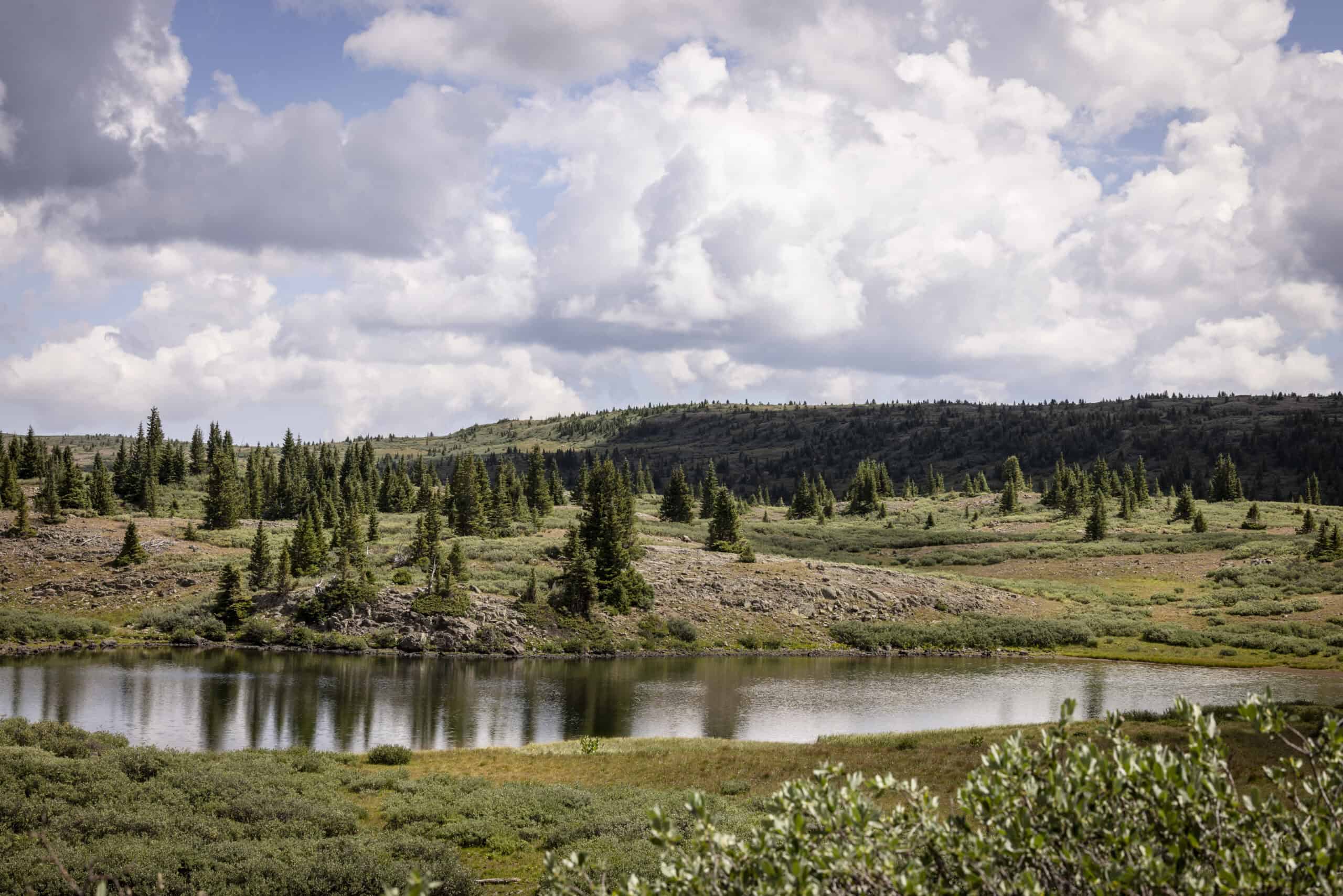 Premier Colorado Wilderness Lodge & Big Game Outfitter for Sale