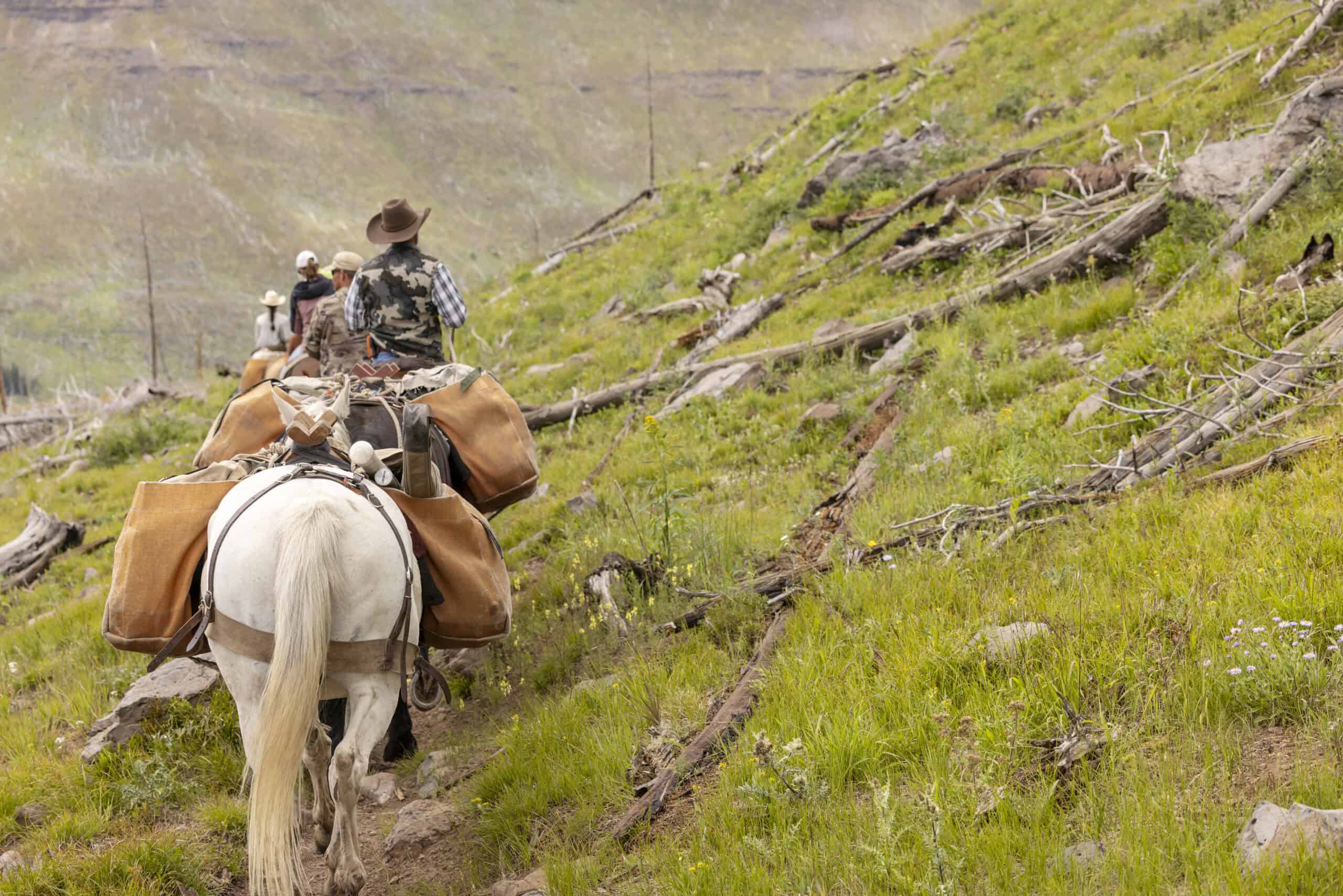 Premier Colorado Wilderness Lodge & Big Game Outfitter for Sale