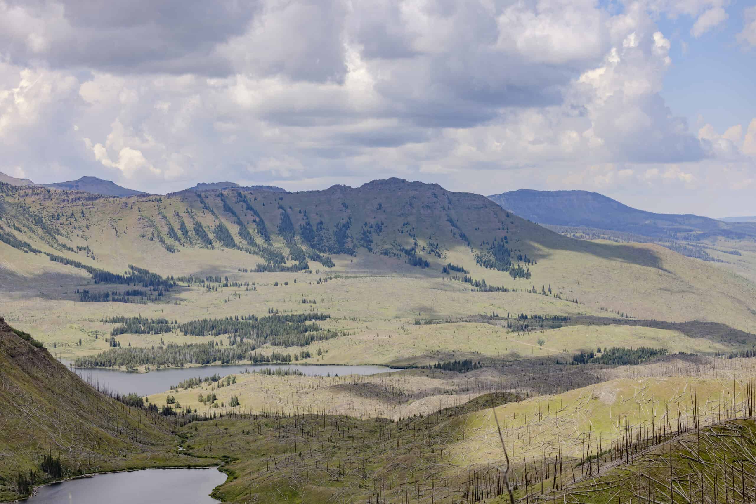 Premier Colorado Wilderness Lodge & Big Game Outfitter for Sale