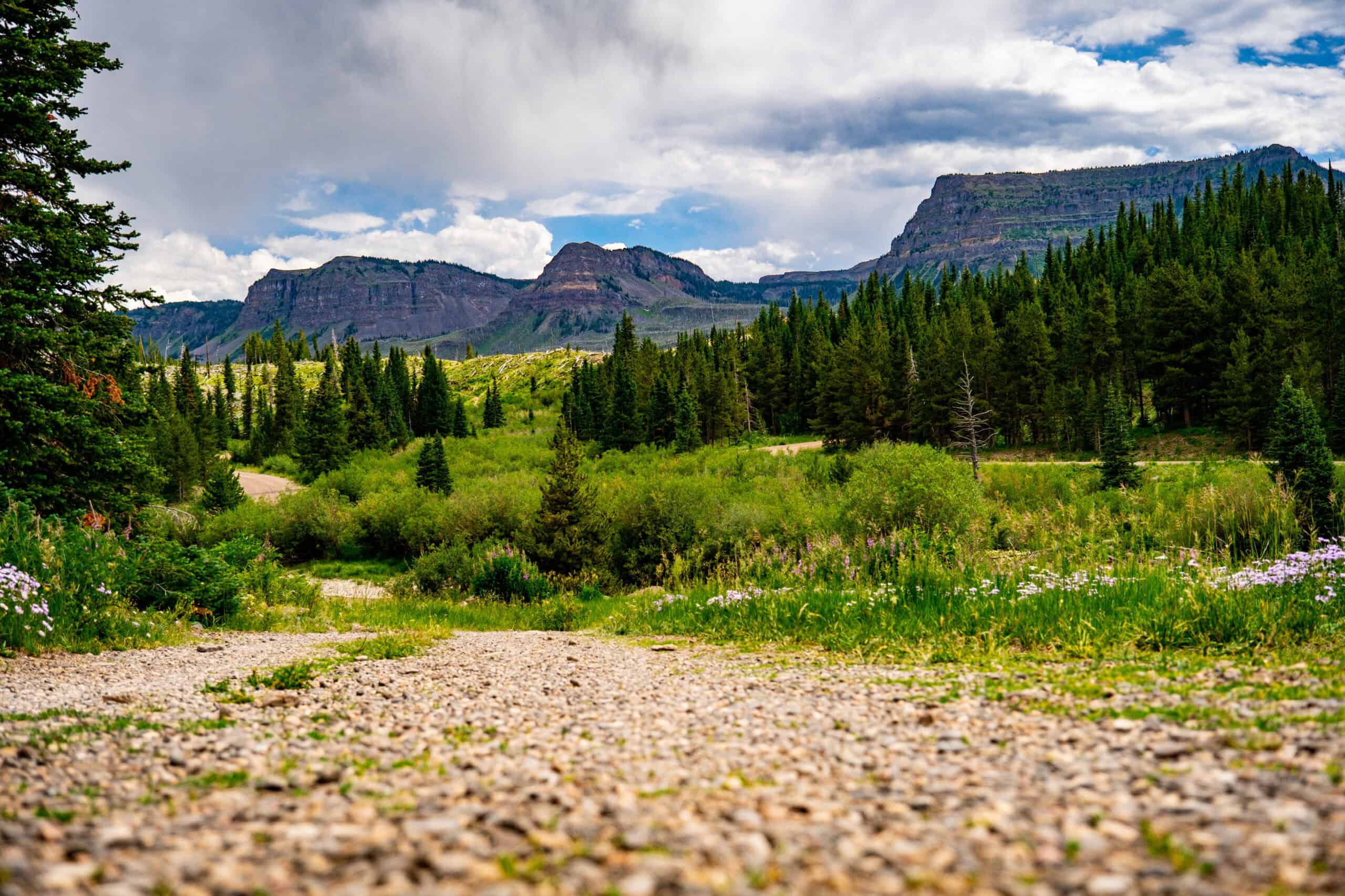 Premier Colorado Wilderness Lodge & Big Game Outfitter for Sale