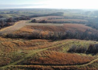 168 +/- Acres | Trophy Hunting, Income Producing & Potential Building Site | Monroe County, Iowa