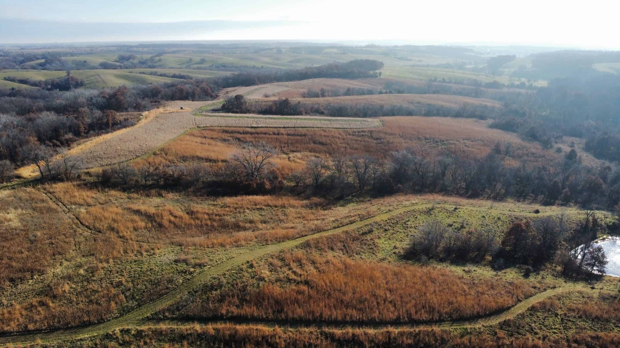 168 +/- Acres | Trophy Hunting, Income Producing & Potential Building Site | Monroe County, Iowa