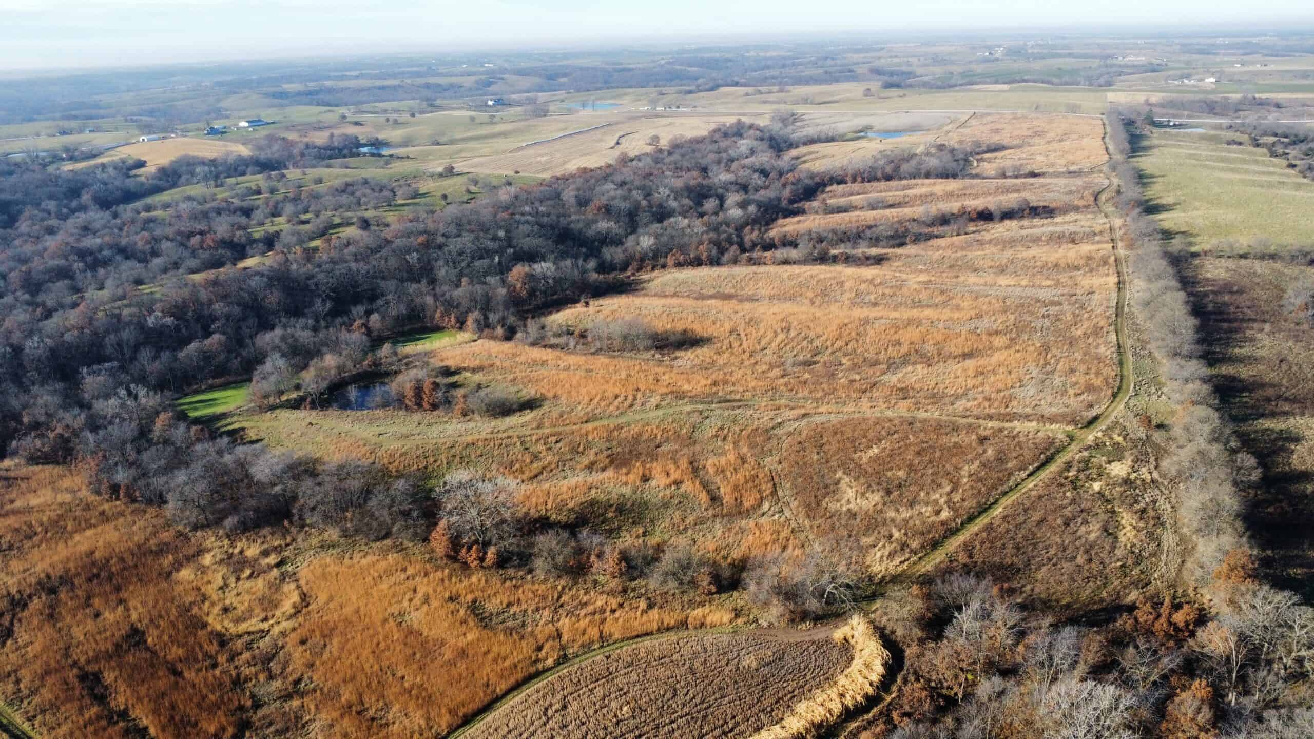 168 +/- Acres | Trophy Hunting, Income Producing & Potential Building Site | Monroe County, Iowa