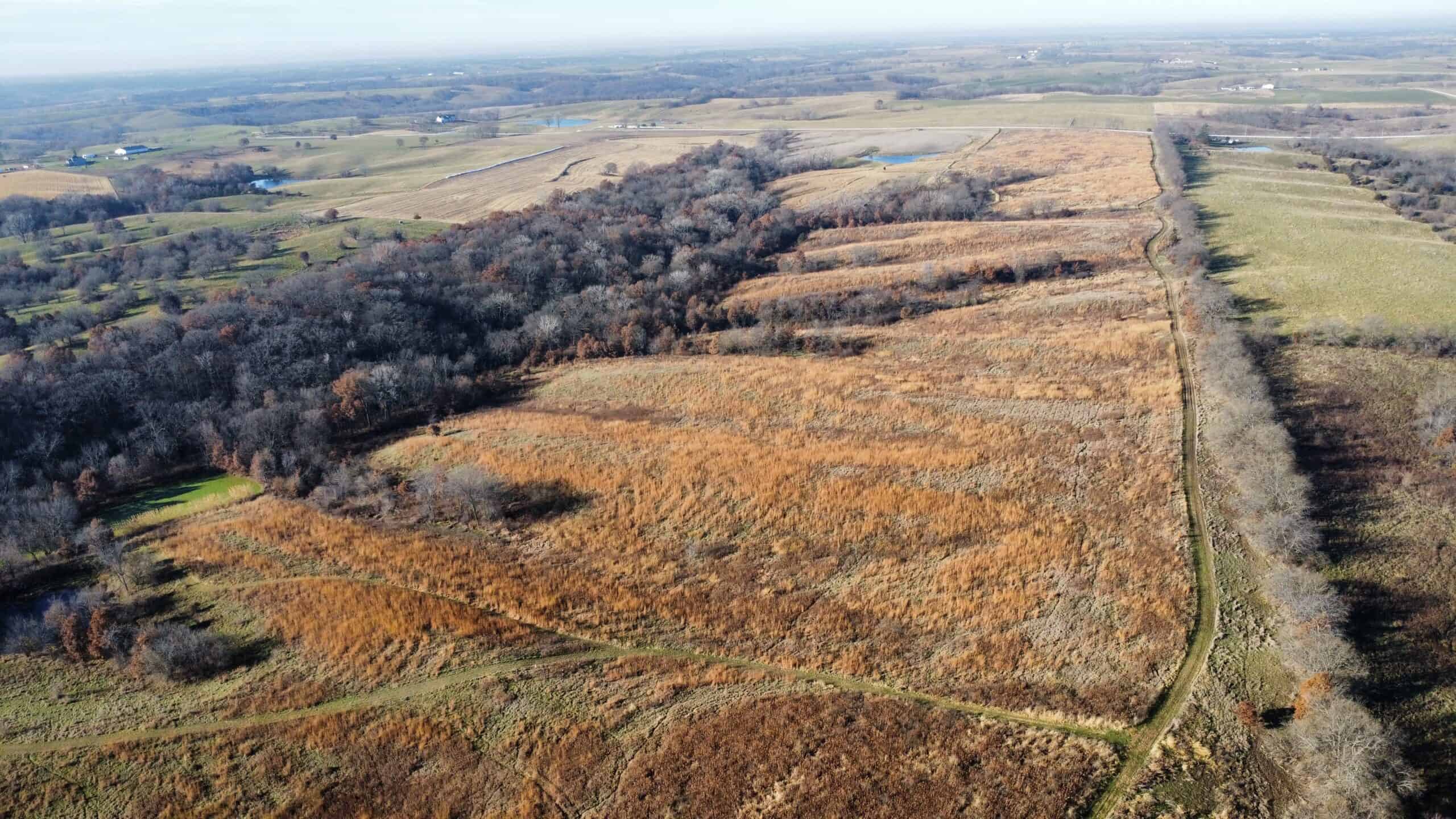 168 +/- Acres | Trophy Hunting, Income Producing & Potential Building Site | Monroe County, Iowa