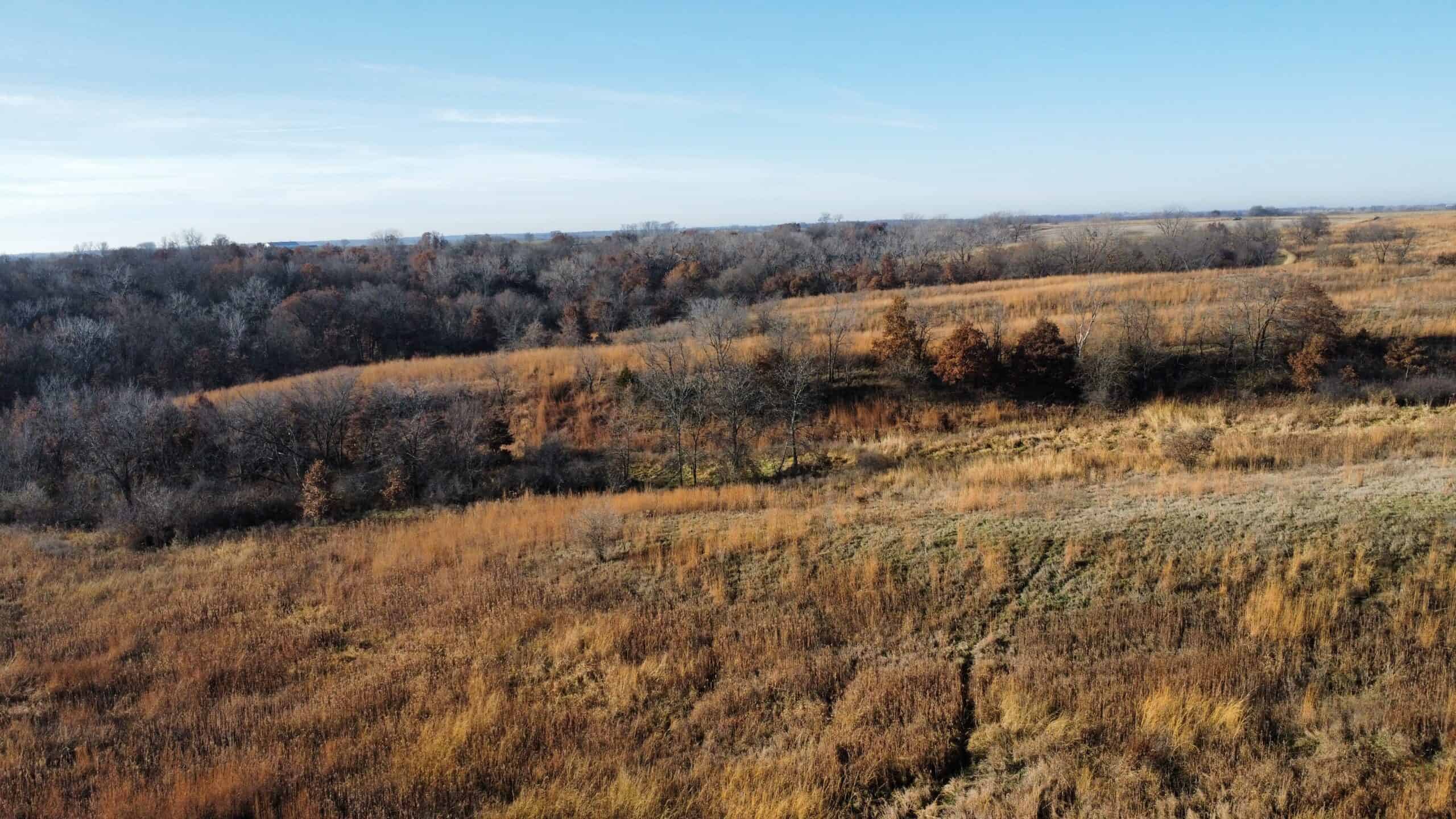 168 +/- Acres | Trophy Hunting, Income Producing & Potential Building Site | Monroe County, Iowa