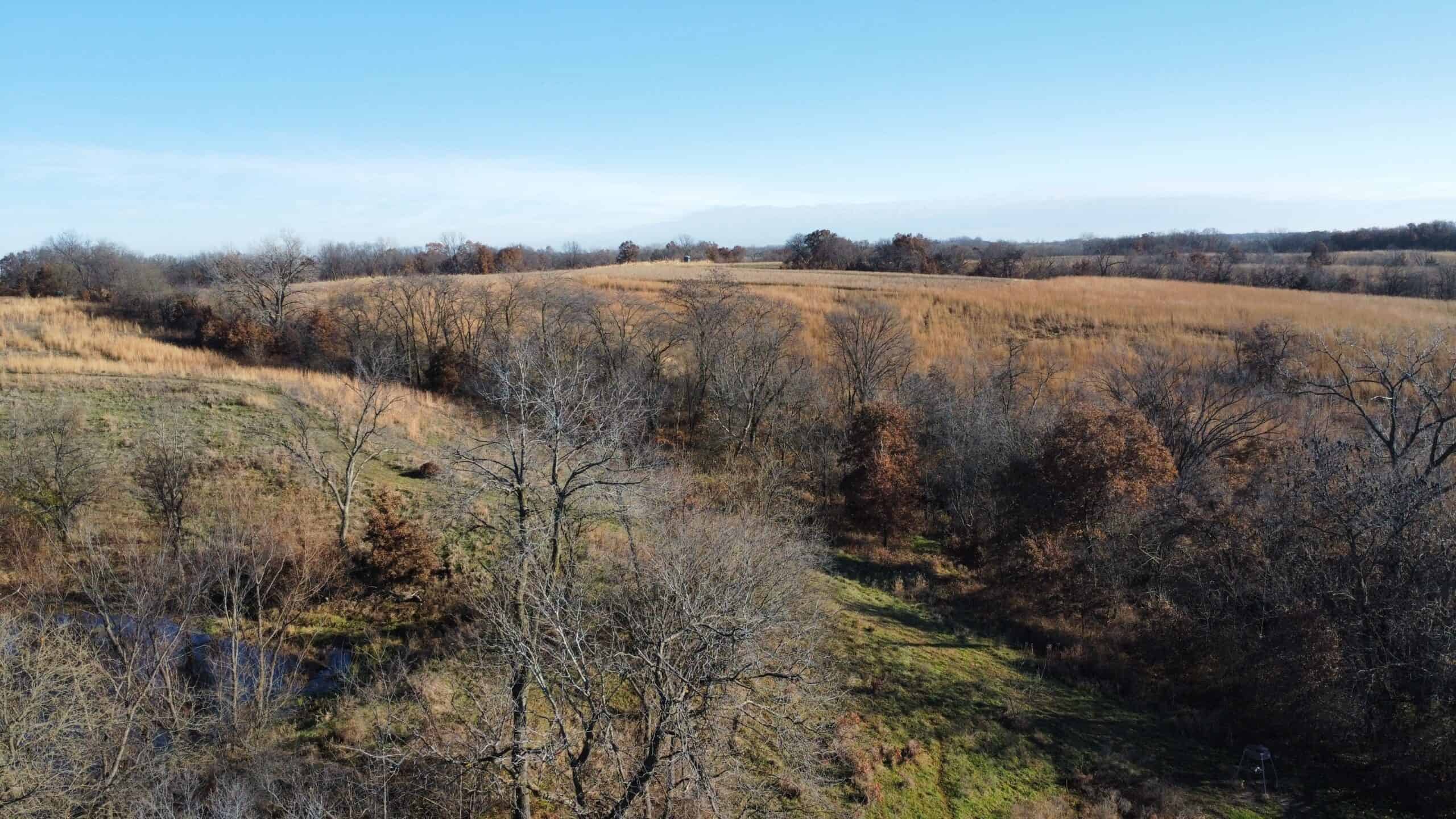 168 +/- Acres | Trophy Hunting, Income Producing & Potential Building Site | Monroe County, Iowa