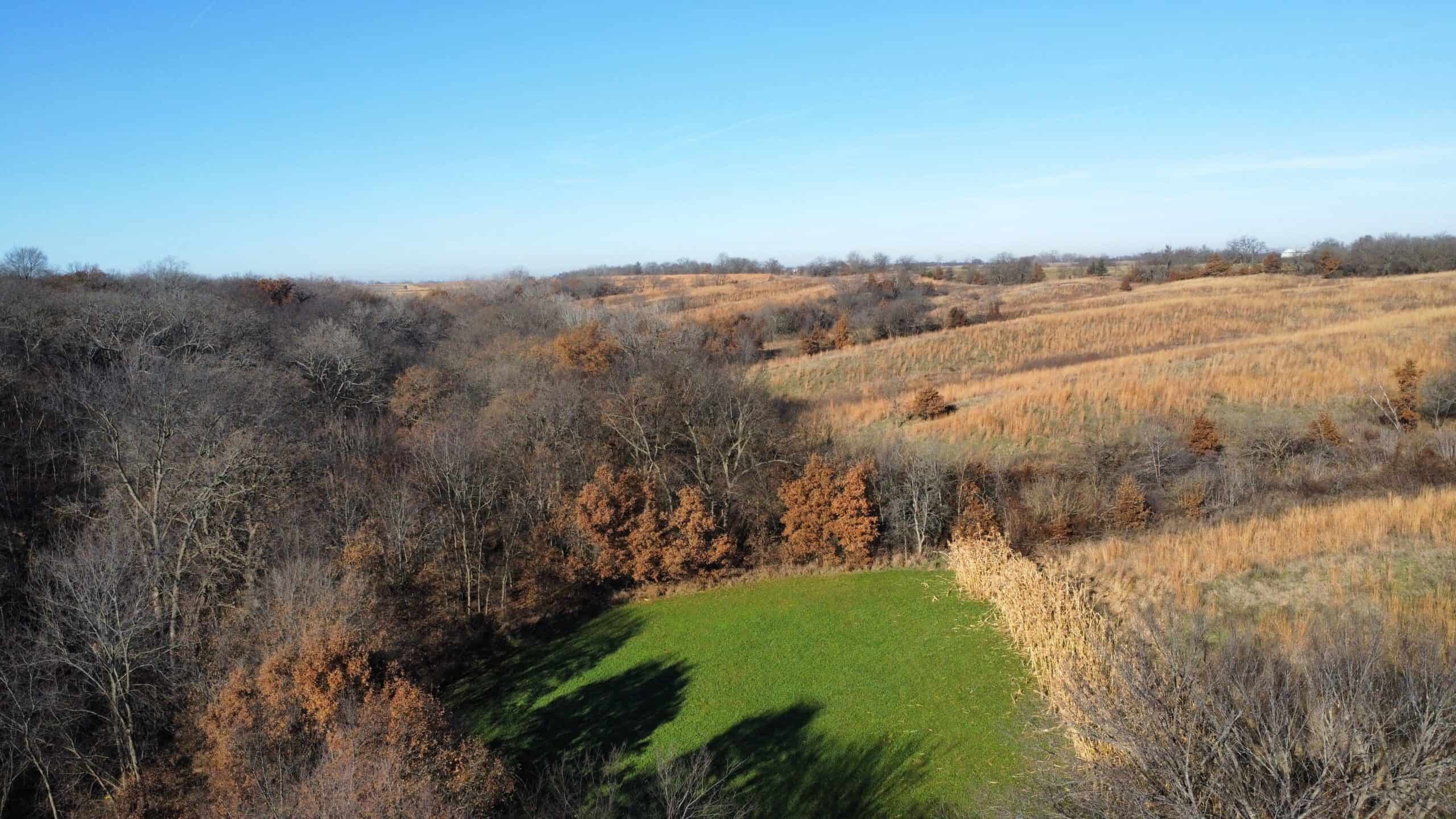 168 +/- Acres | Trophy Hunting, Income Producing & Potential Building Site | Monroe County, Iowa