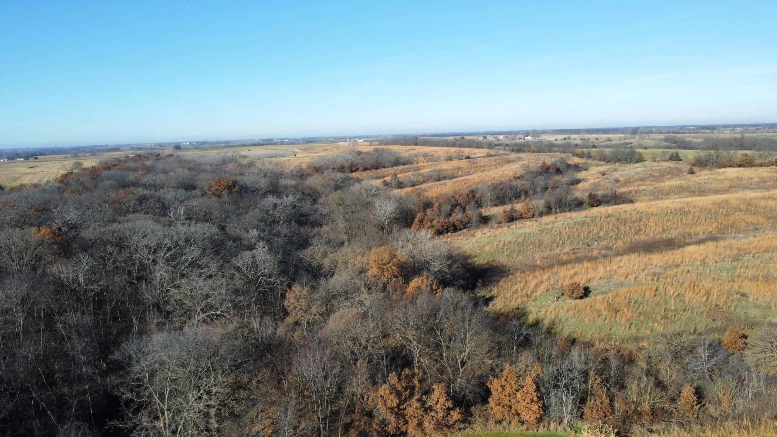 168 +/- Acres | Trophy Hunting, Income Producing & Potential Building Site | Monroe County, Iowa