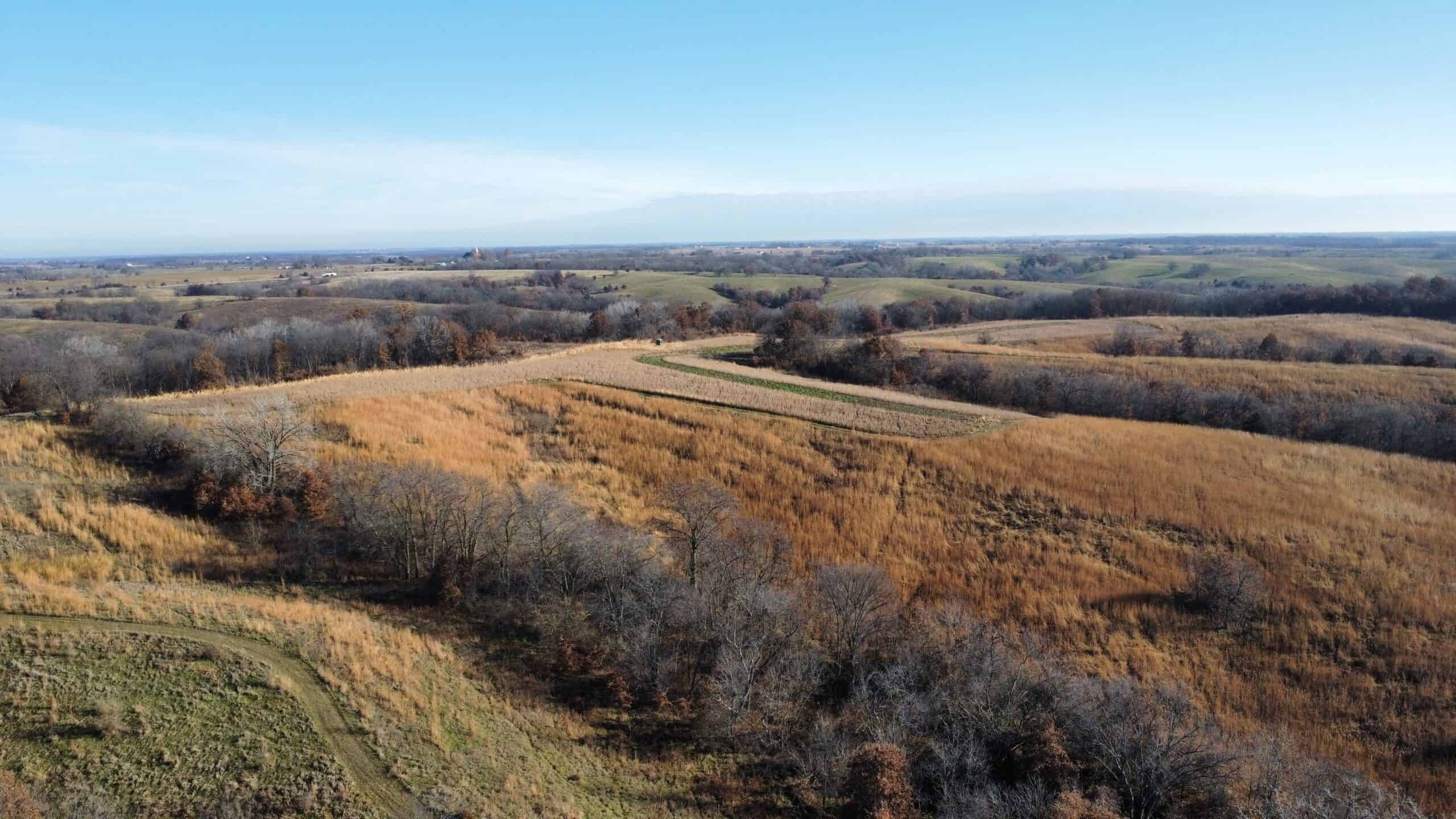 168 +/- Acres | Trophy Hunting, Income Producing & Potential Building Site | Monroe County, Iowa