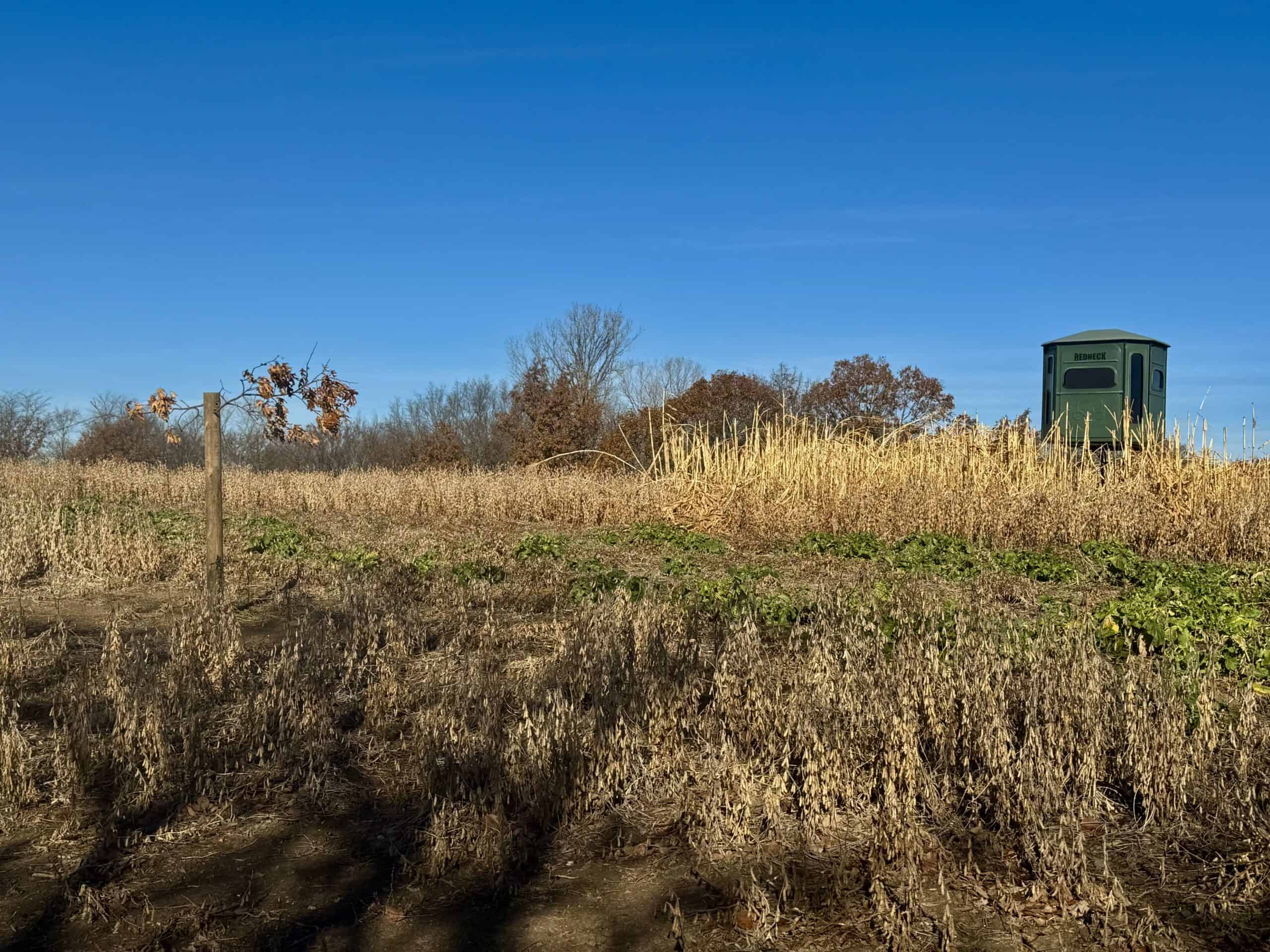 168 +/- Acres | Trophy Hunting, Income Producing & Potential Building Site | Monroe County, Iowa