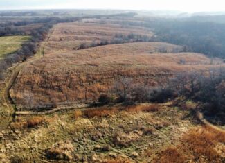 168 +/- Acres | Trophy Hunting, Income Producing & Potential Building Site | Monroe County, Iowa
