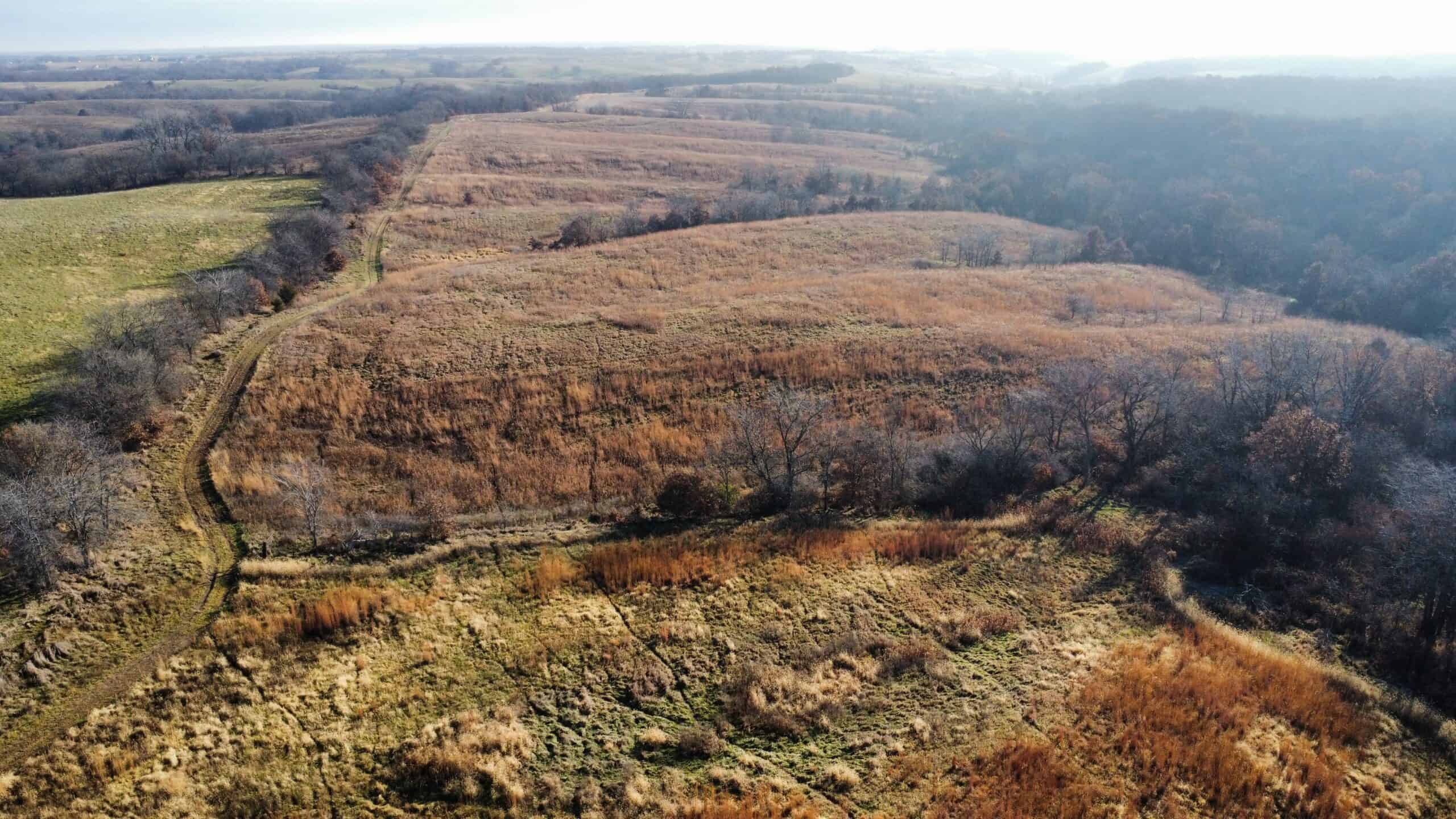 168 +/- Acres | Trophy Hunting, Income Producing & Potential Building Site | Monroe County, Iowa