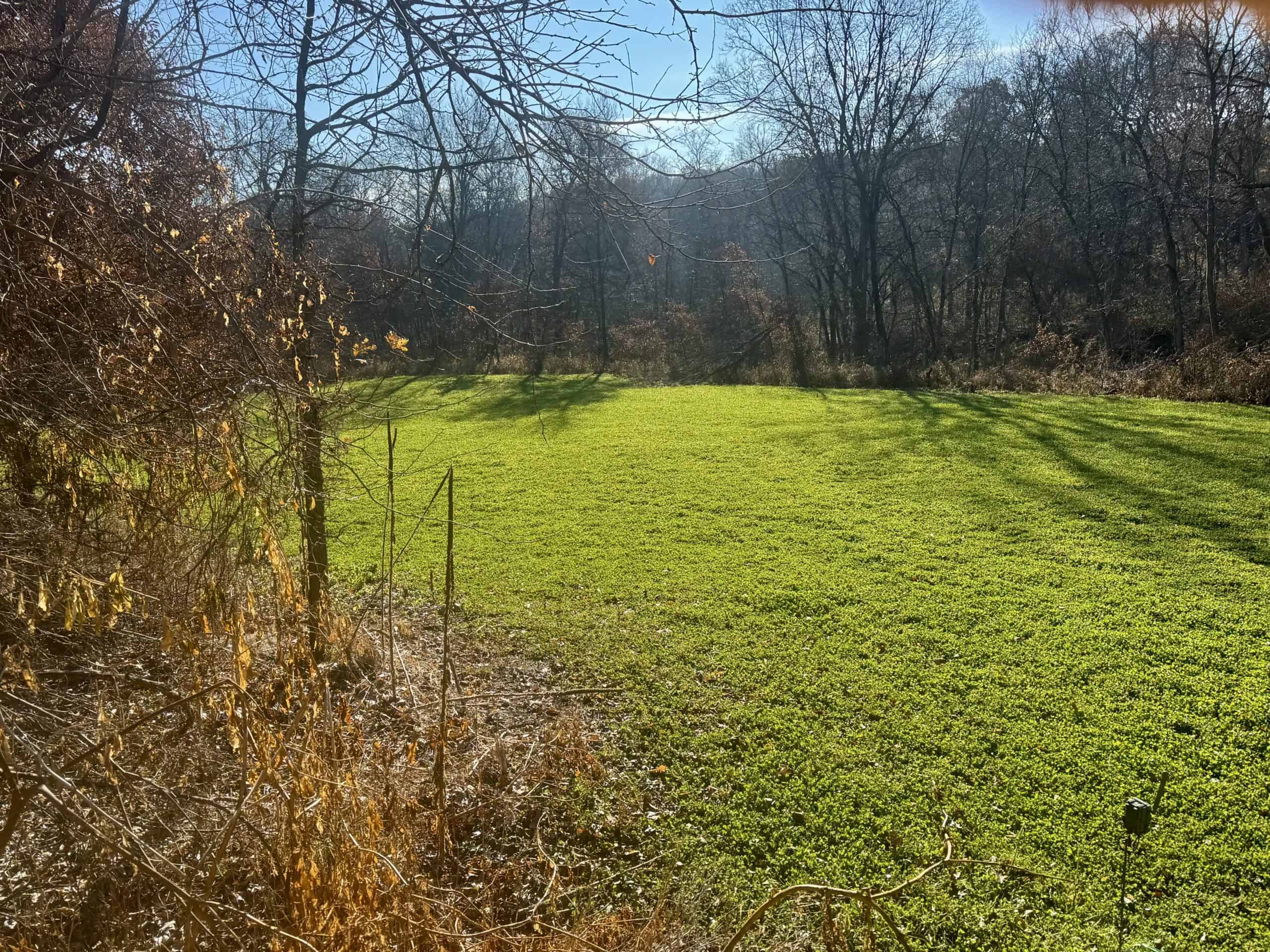 168 +/- Acres | Trophy Hunting, Income Producing & Potential Building Site | Monroe County, Iowa