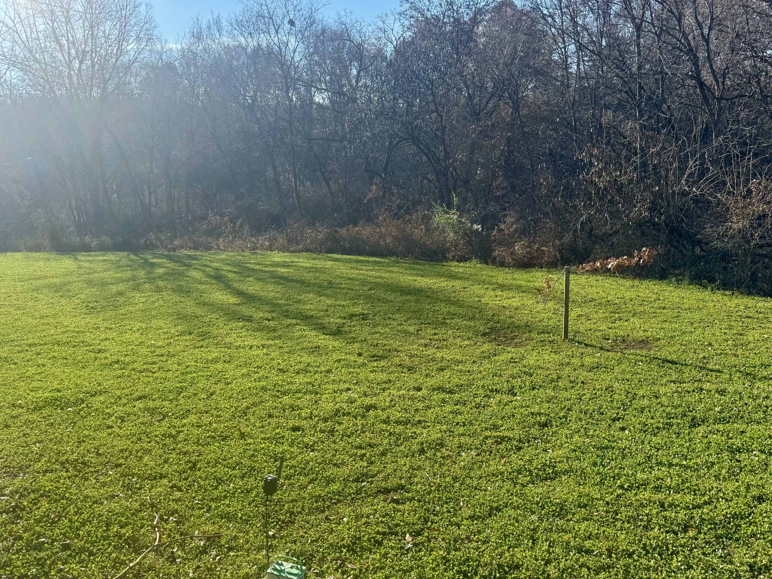 168 +/- Acres | Trophy Hunting, Income Producing & Potential Building Site | Monroe County, Iowa