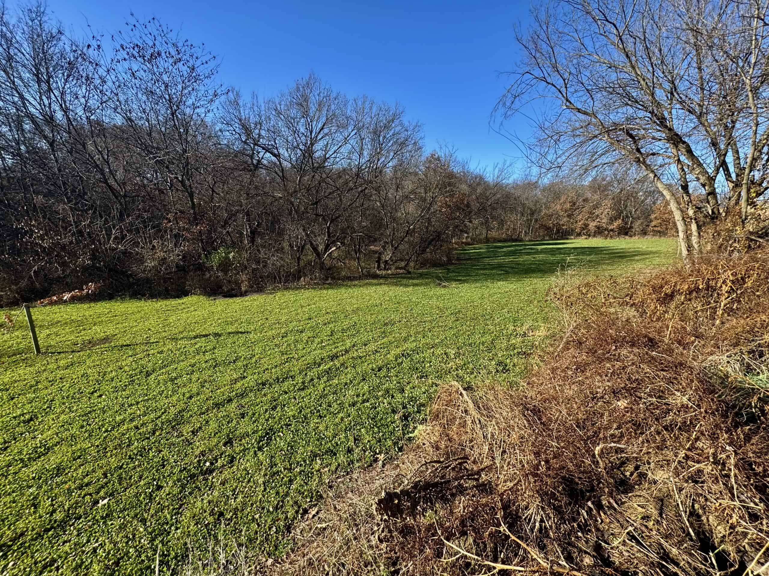 168 +/- Acres | Trophy Hunting, Income Producing & Potential Building Site | Monroe County, Iowa