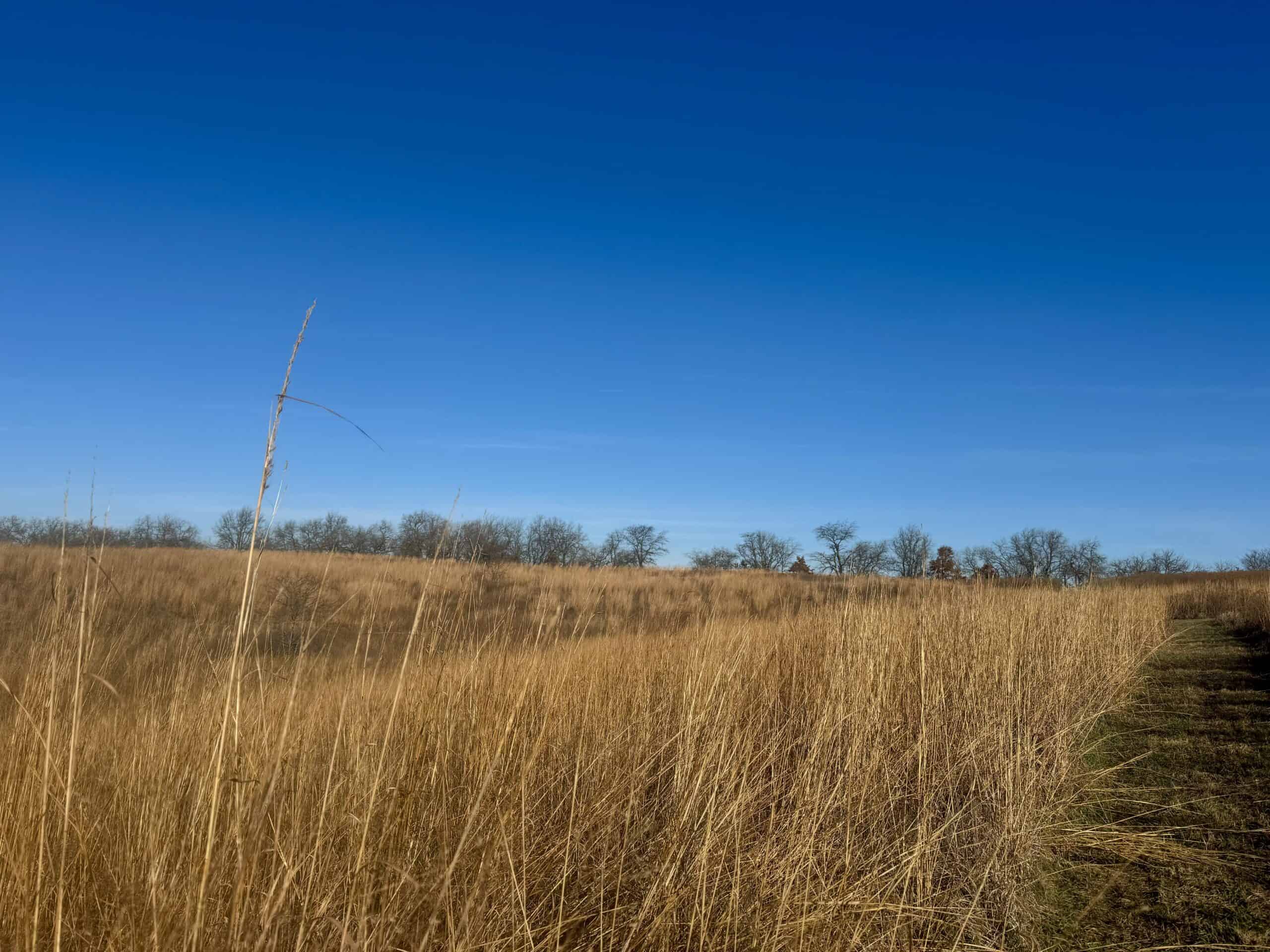 168 +/- Acres | Trophy Hunting, Income Producing & Potential Building Site | Monroe County, Iowa