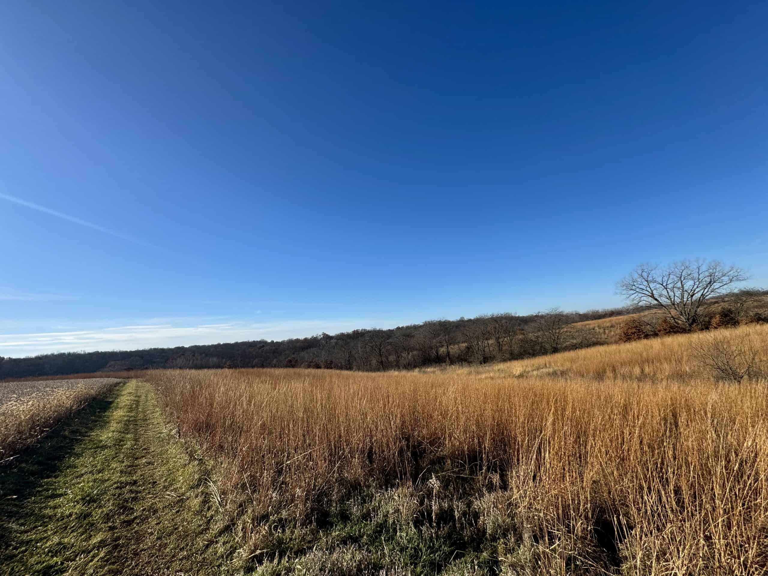 168 +/- Acres | Trophy Hunting, Income Producing & Potential Building Site | Monroe County, Iowa