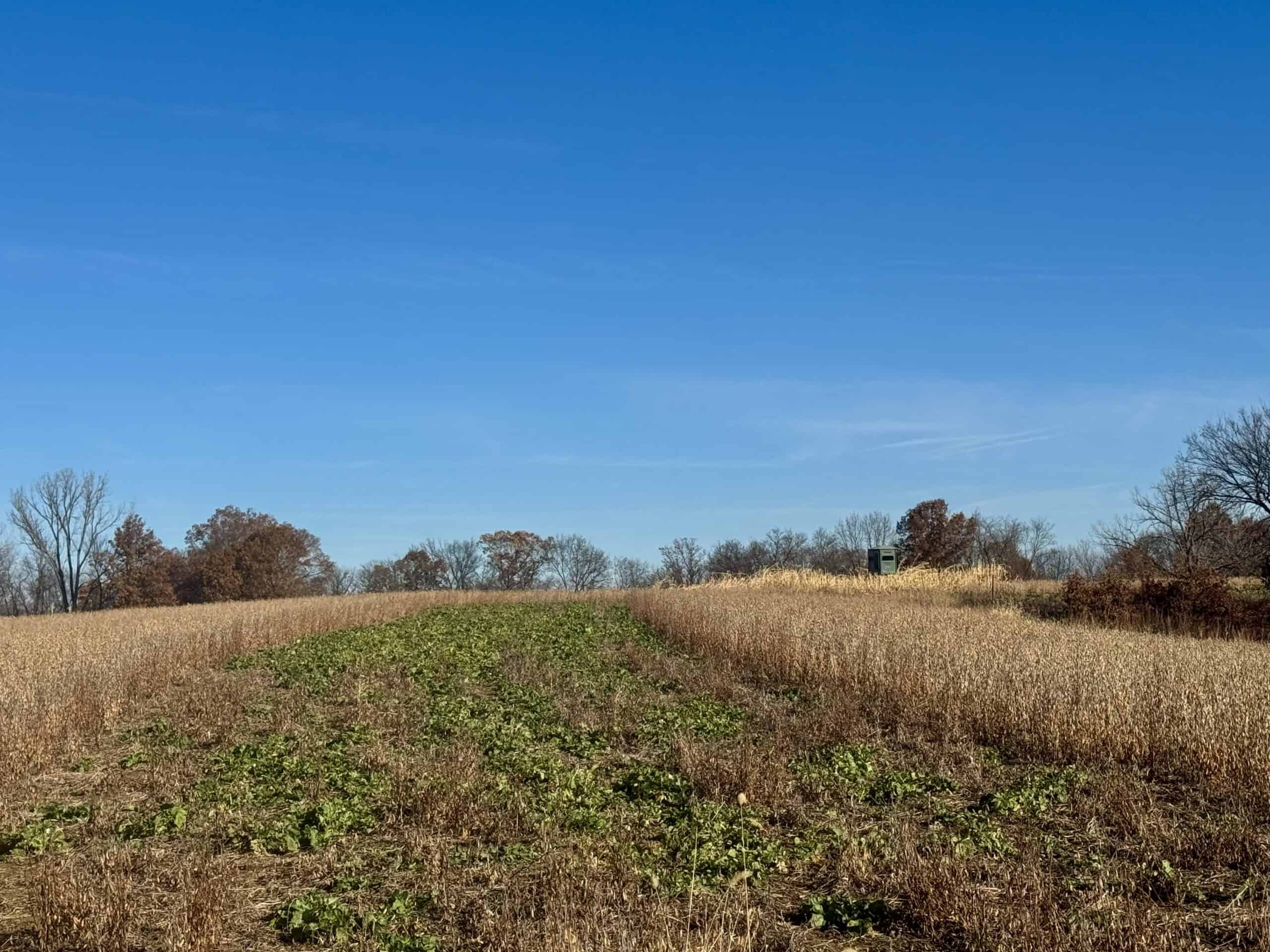 168 +/- Acres | Trophy Hunting, Income Producing & Potential Building Site | Monroe County, Iowa