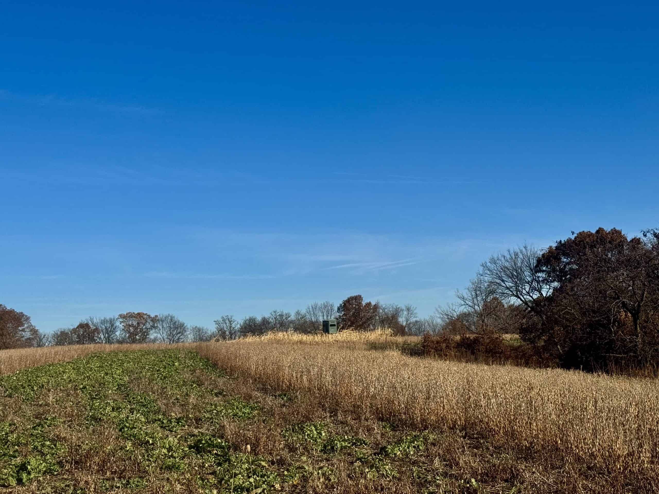 168 +/- Acres | Trophy Hunting, Income Producing & Potential Building Site | Monroe County, Iowa