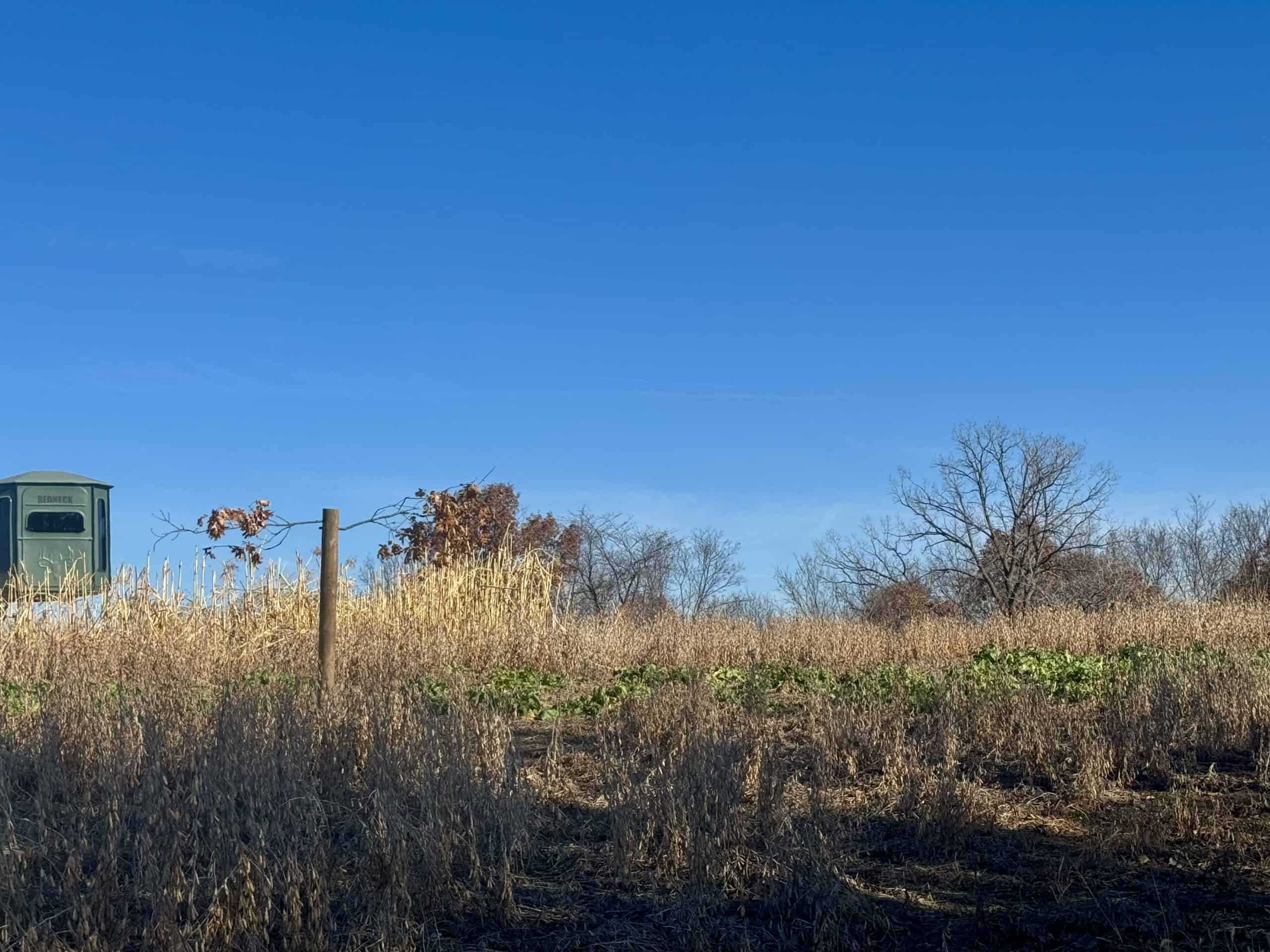 168 +/- Acres | Trophy Hunting, Income Producing & Potential Building Site | Monroe County, Iowa