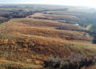 168 +/- Acres | Trophy Hunting, Income Producing & Potential Building Site | Monroe County, Iowa