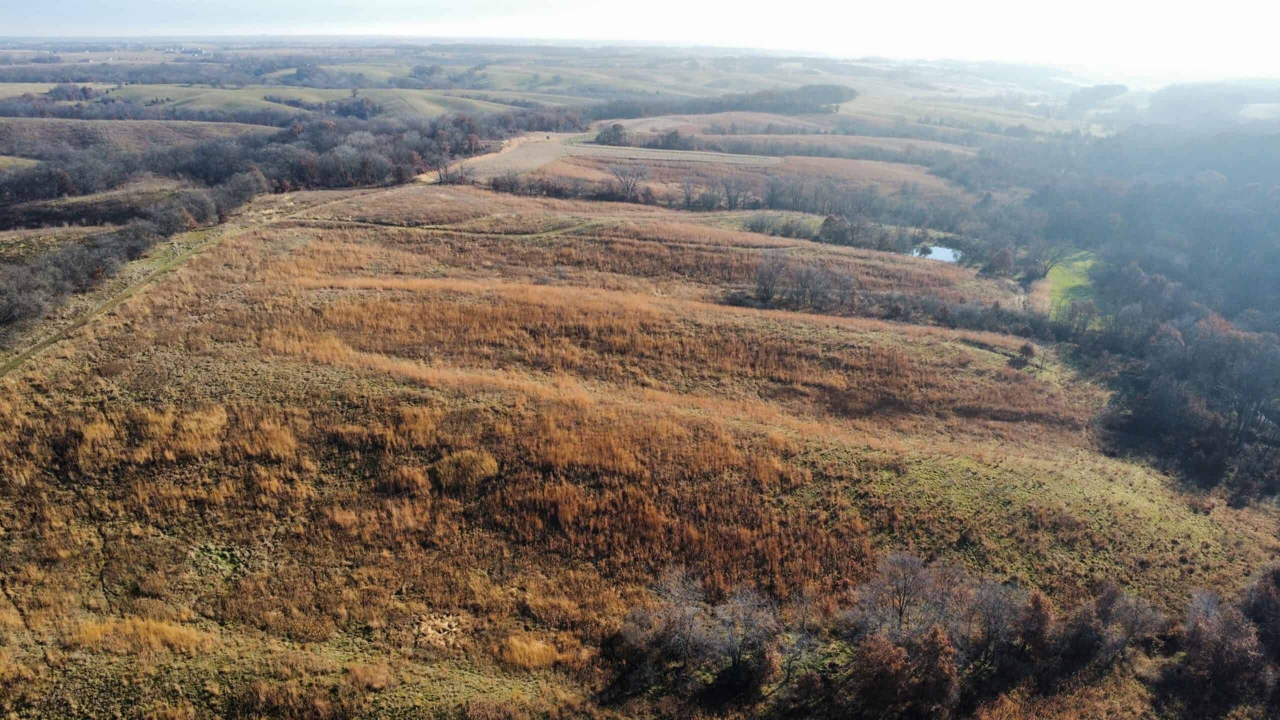 168 +/- Acres | Trophy Hunting, Income Producing & Potential Building Site | Monroe County, Iowa