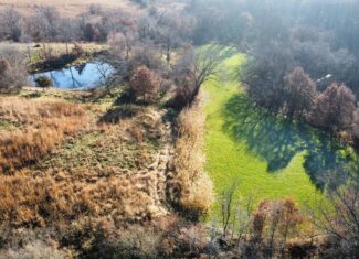 168 +/- Acres | Trophy Hunting, Income Producing & Potential Building Site | Monroe County, Iowa