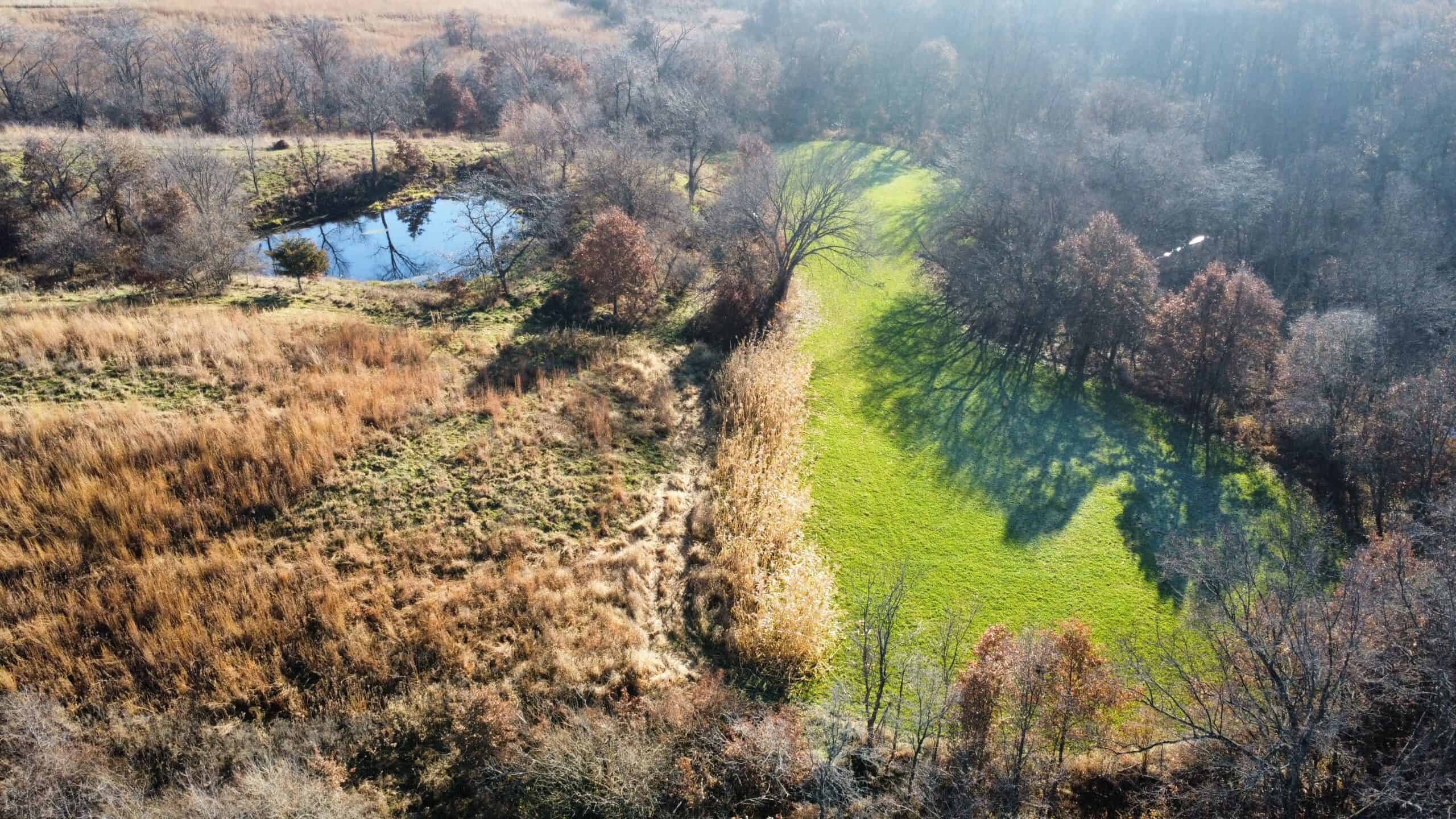 168 +/- Acres | Trophy Hunting, Income Producing & Potential Building Site | Monroe County, Iowa