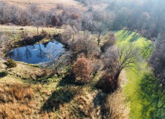 168 +/- Acres | Trophy Hunting, Income Producing & Potential Building Site | Monroe County, Iowa