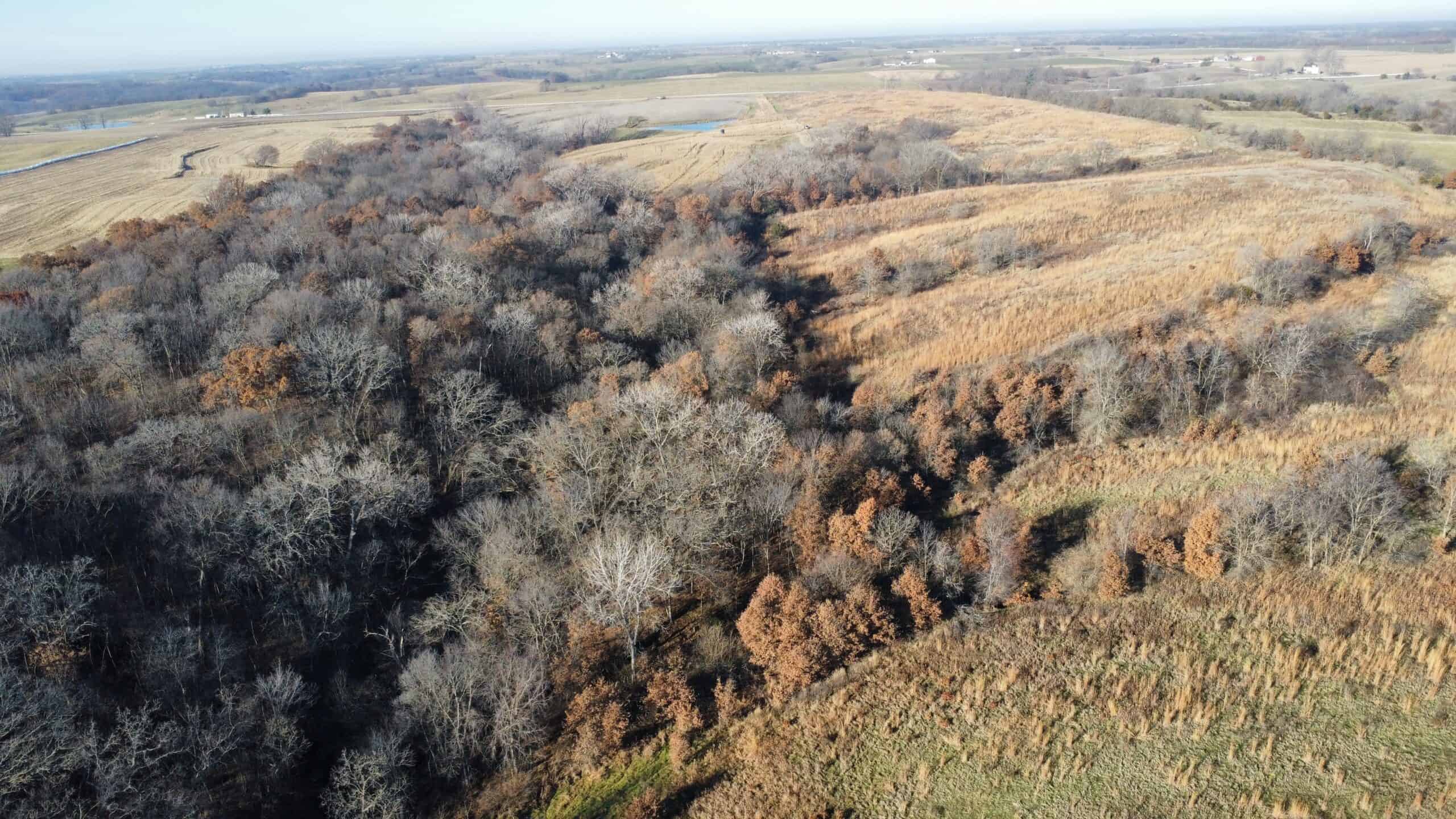 168 +/- Acres | Trophy Hunting, Income Producing & Potential Building Site | Monroe County, Iowa