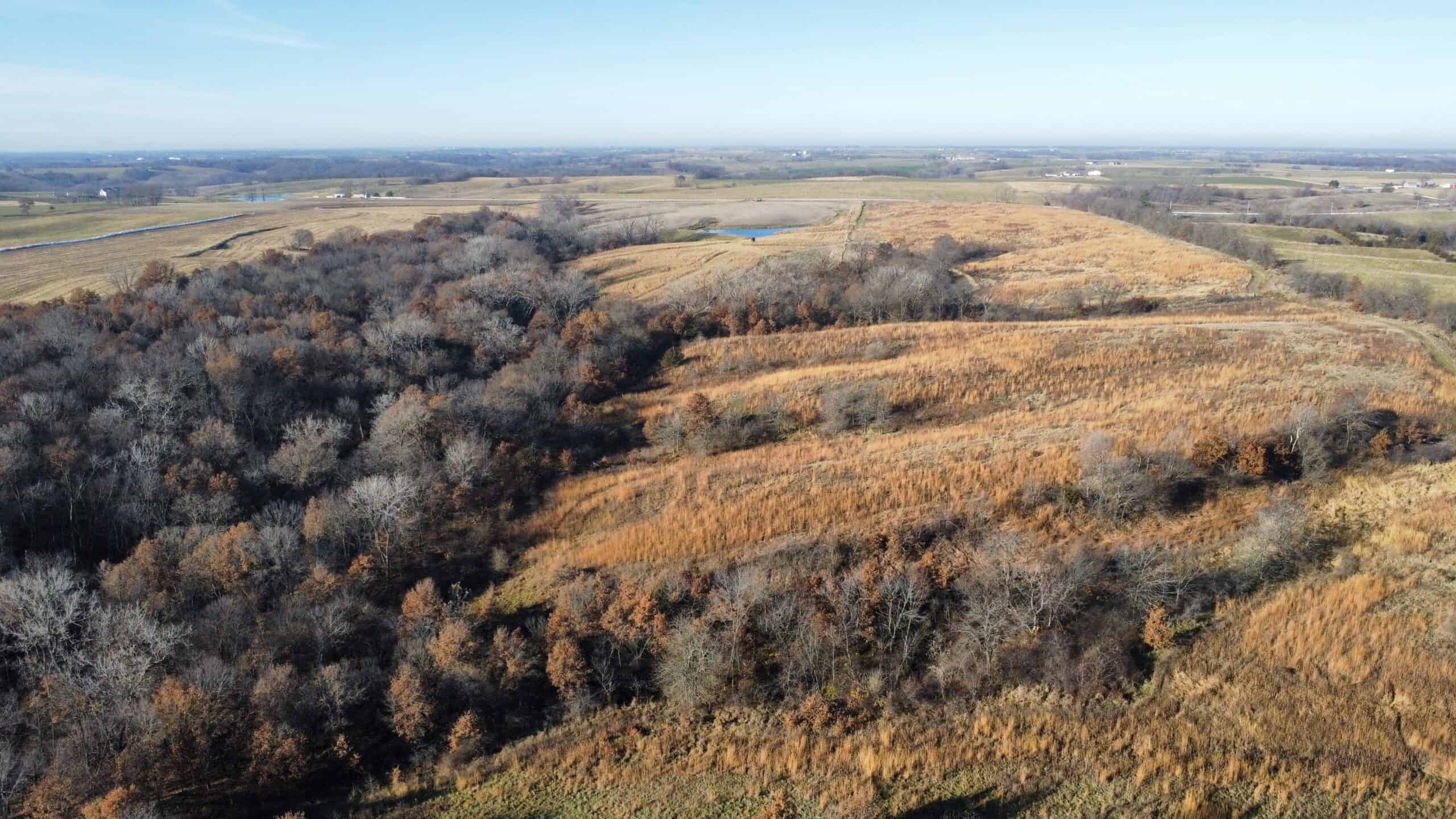 168 +/- Acres | Trophy Hunting, Income Producing & Potential Building Site | Monroe County, Iowa