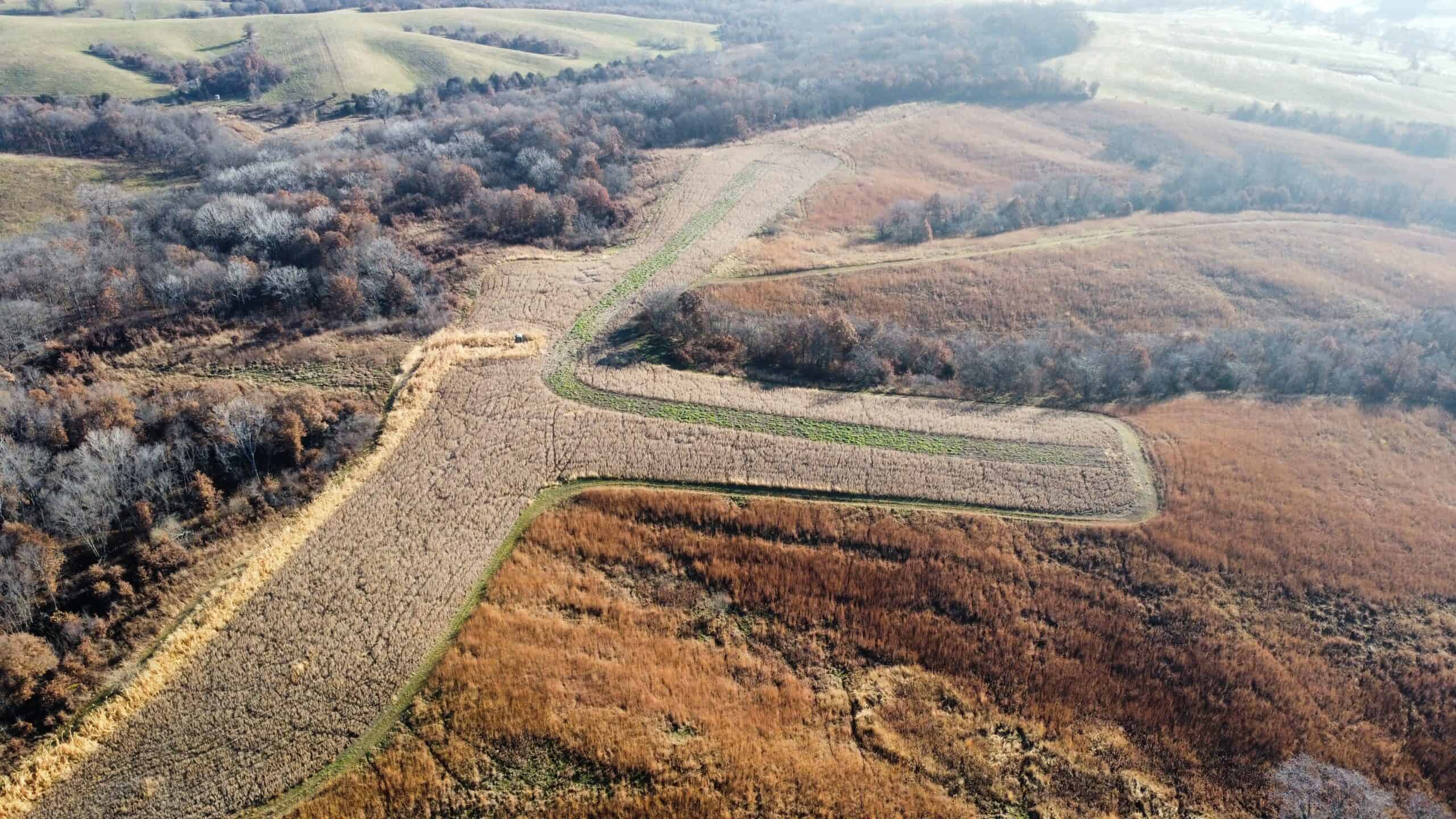 168 +/- Acres | Trophy Hunting, Income Producing & Potential Building Site | Monroe County, Iowa