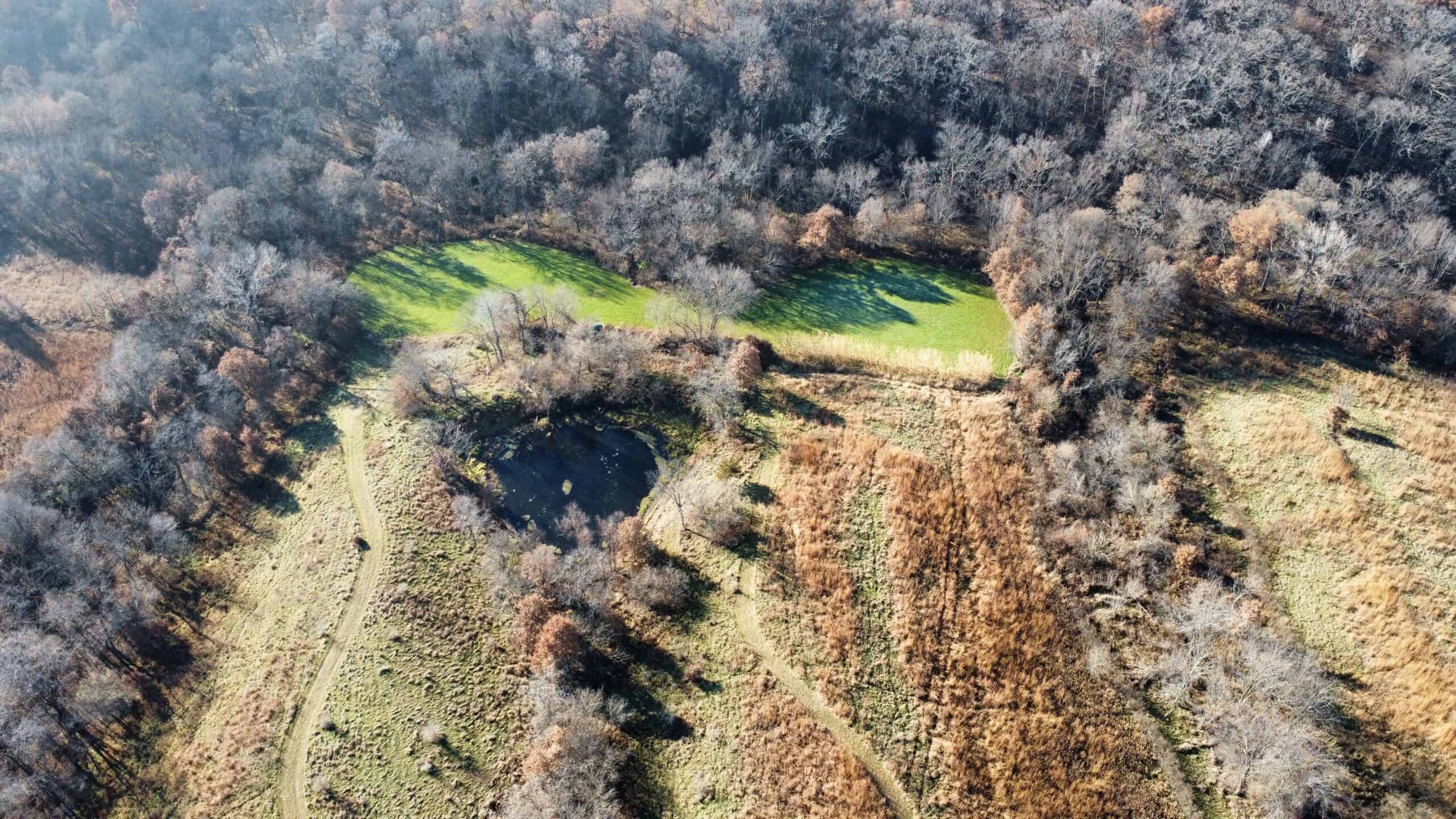 168 +/- Acres | Trophy Hunting, Income Producing & Potential Building Site | Monroe County, Iowa