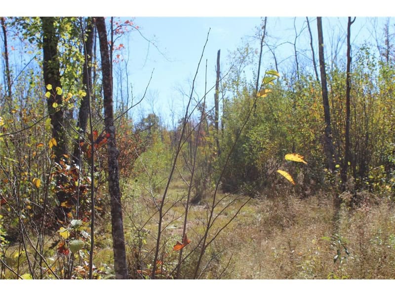 Northwoods Paradise w/ Trails & Ponds For Sale in Isle, MN