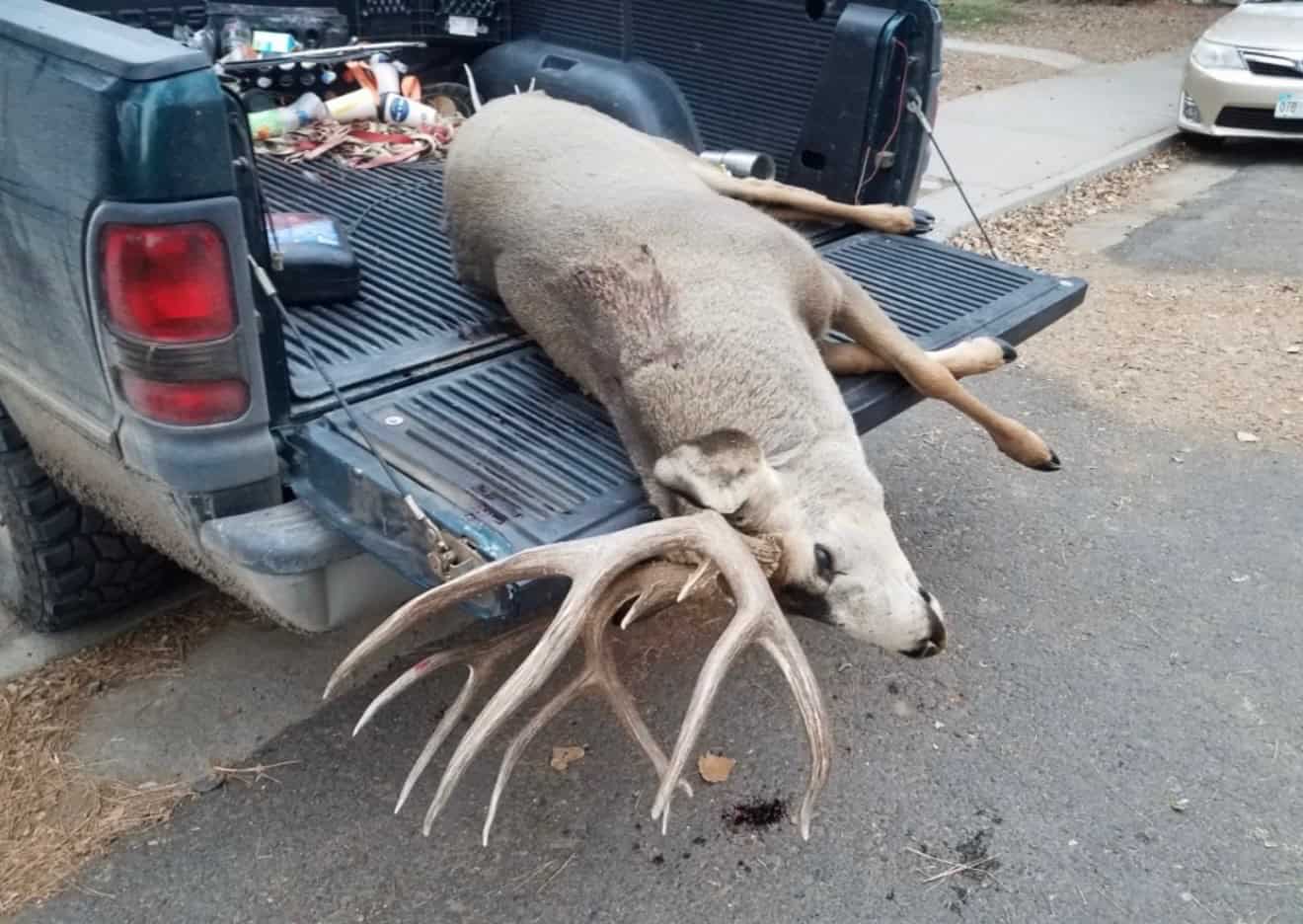 Buckhorn Lakes Ranch Investor Offering – 449± Acres of Premium Mountain Terrain for Sale